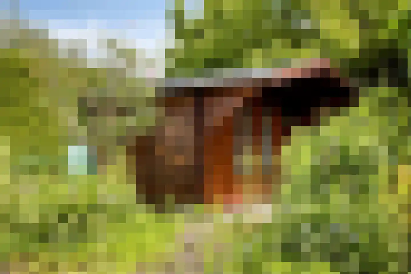 Dorpergaarden 2 Losser thumbnail 38