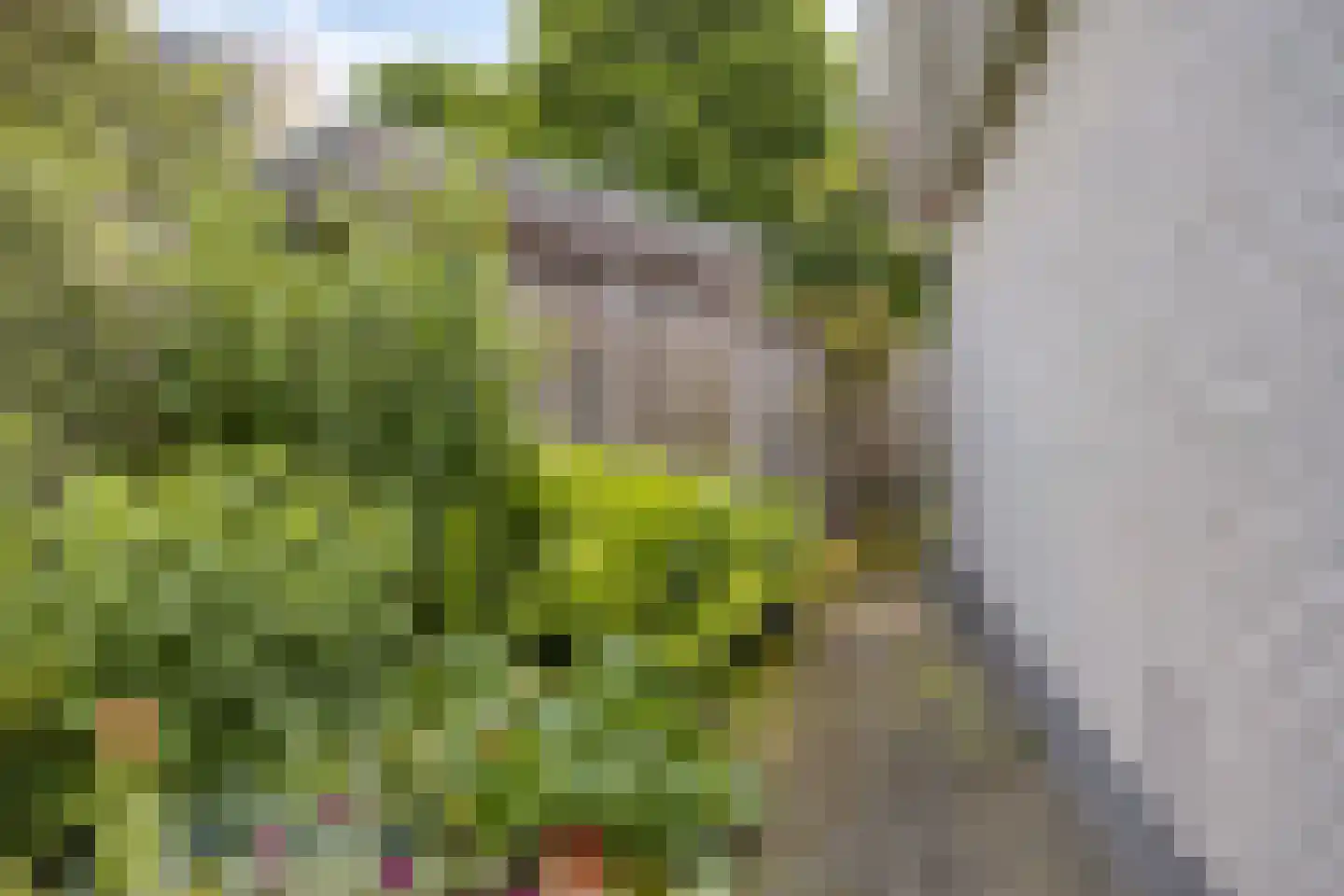 Dorpergaarden 2 Losser thumbnail 39