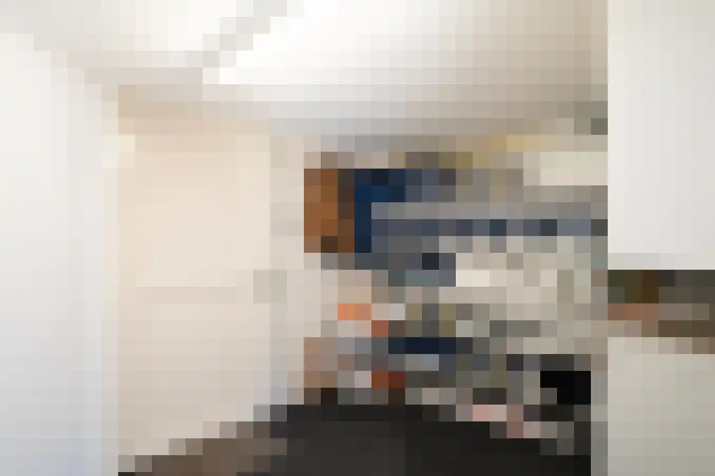 Dorpergaarden 51 Losser thumbnail 21