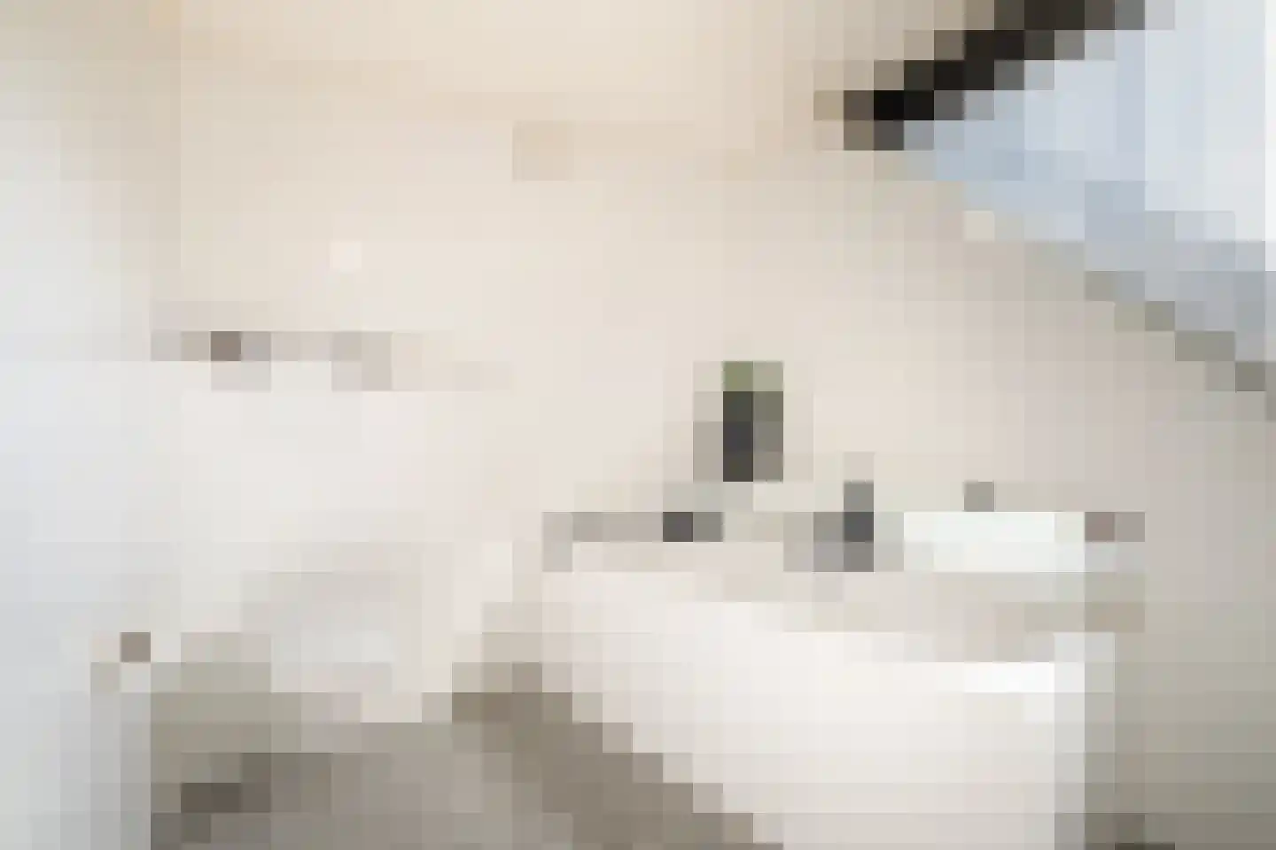 Dorpergaarden 51 Losser thumbnail 29