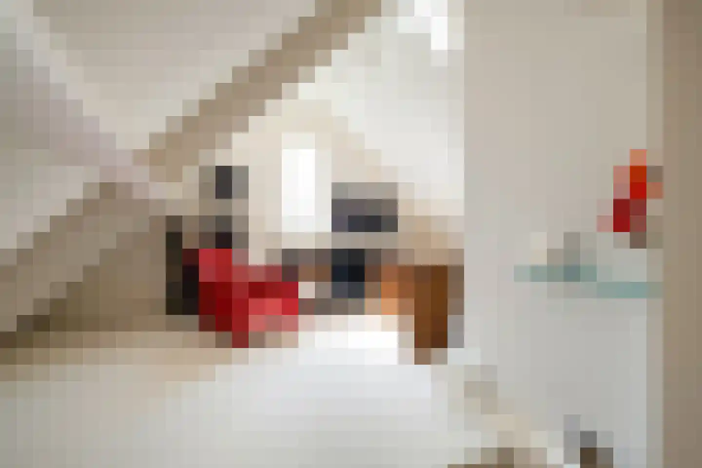 Dorpergaarden 51 Losser thumbnail 30