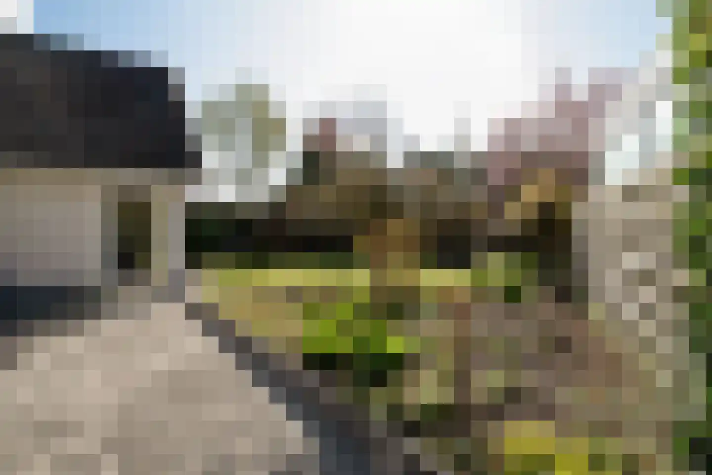 Dorpergaarden 51 Losser thumbnail 34
