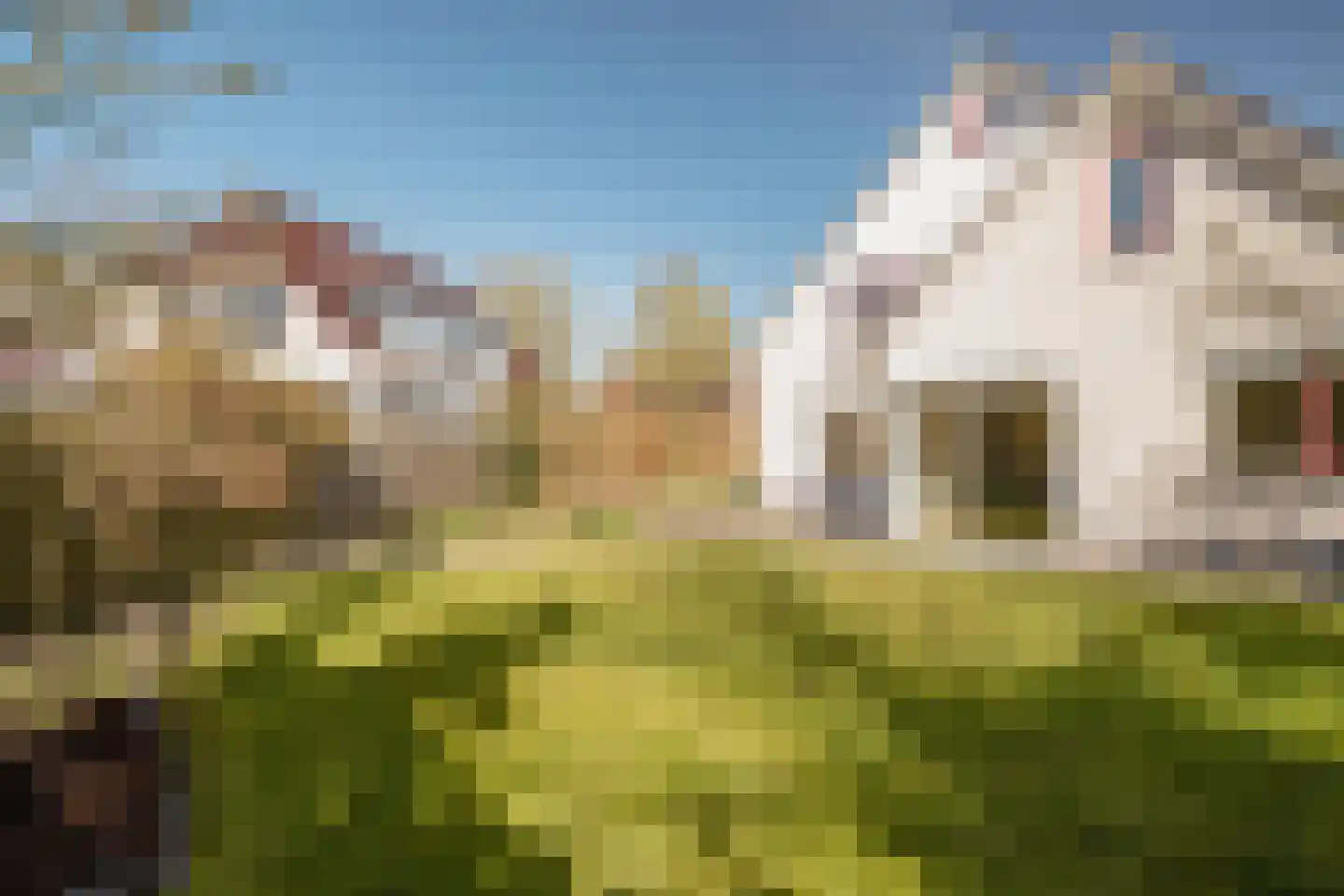 Dorpergaarden 51 Losser thumbnail 38