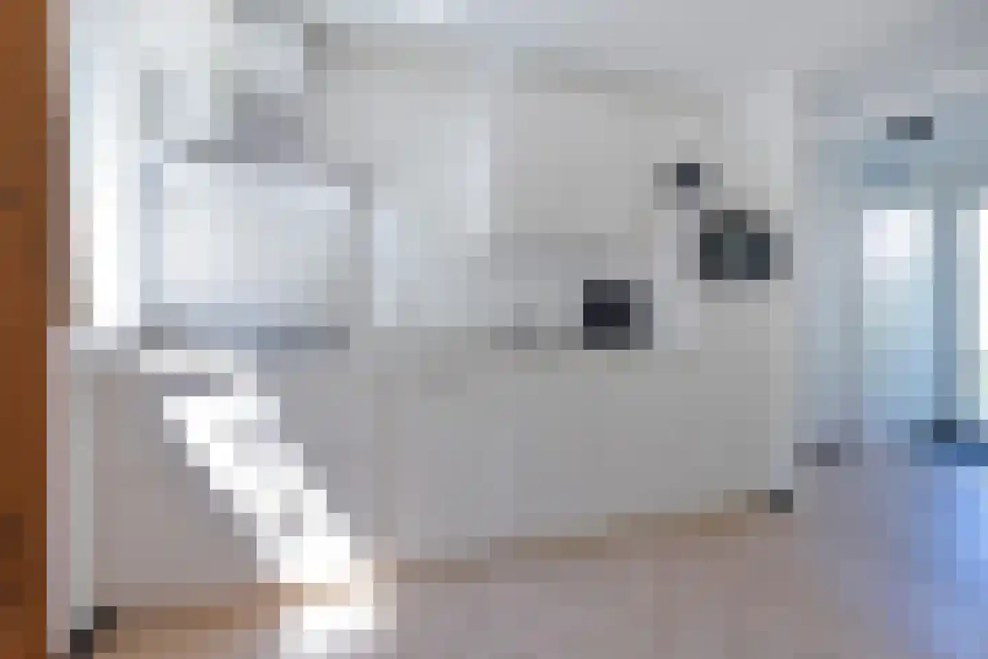 Dorperheideweg 12 126 Arcen thumbnail 9
