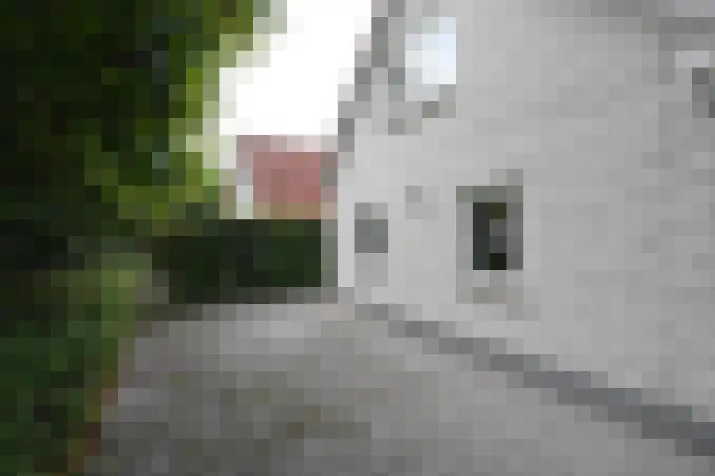 Dorperheideweg 12 19 Arcen thumbnail 23