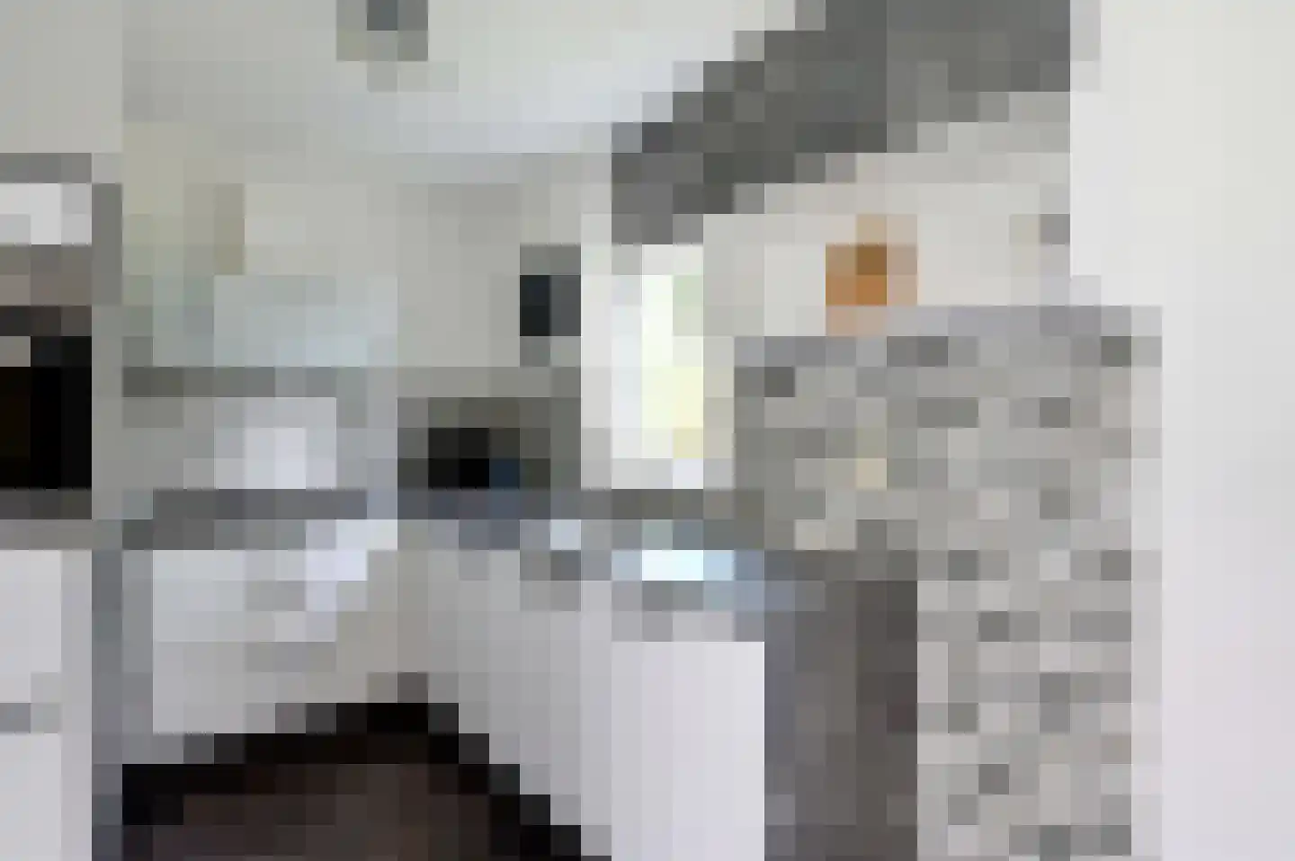 Dorperheideweg 12 20 Arcen thumbnail 11