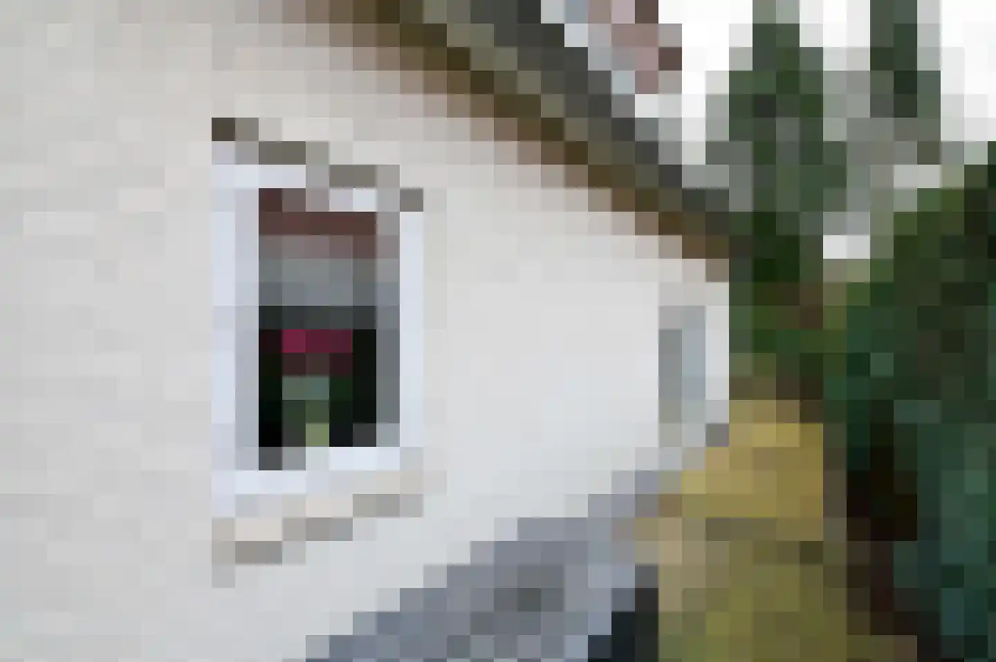 Dorperheideweg 12 20 Arcen thumbnail 24