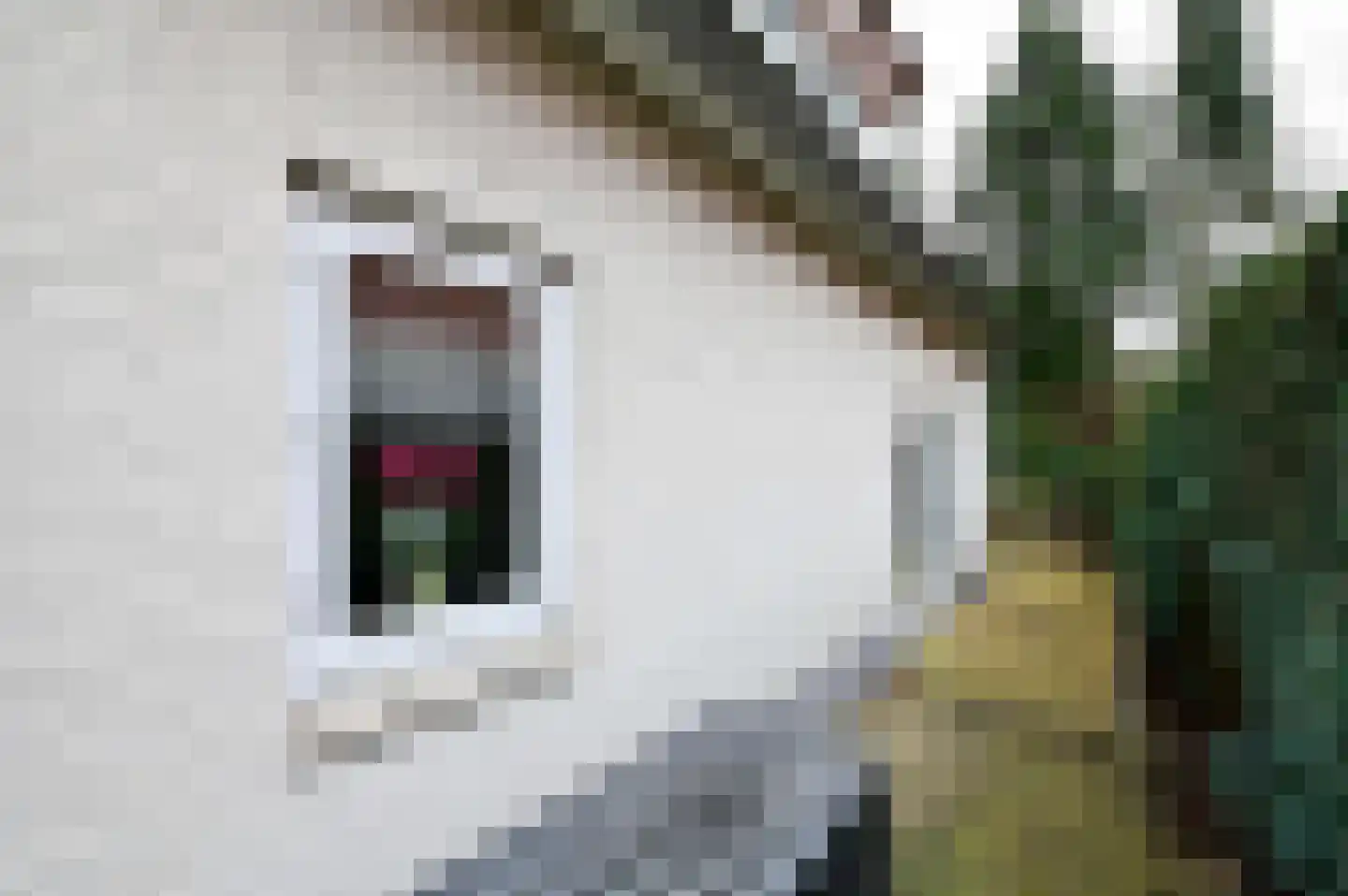Dorperheideweg 12 20 Arcen thumbnail 24