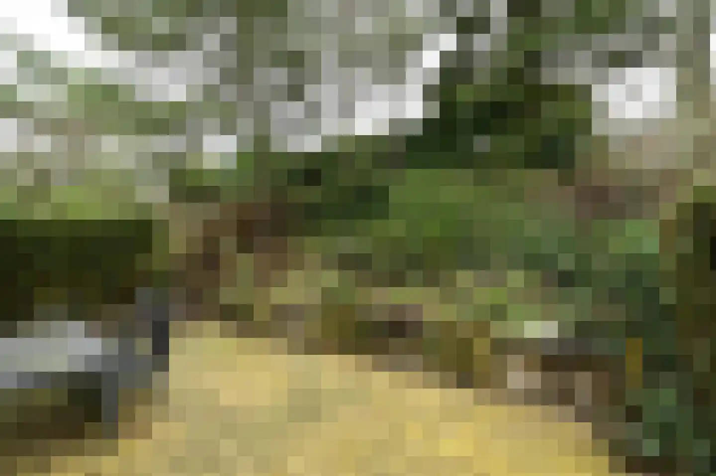 Dorperheideweg 12 20 Arcen thumbnail 4