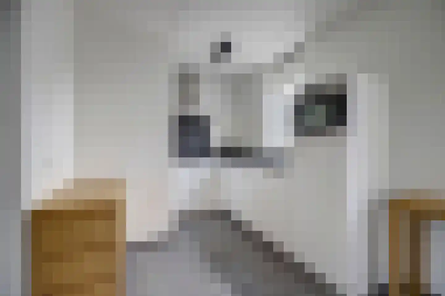 Dorperheideweg 12 2034 Arcen thumbnail 12