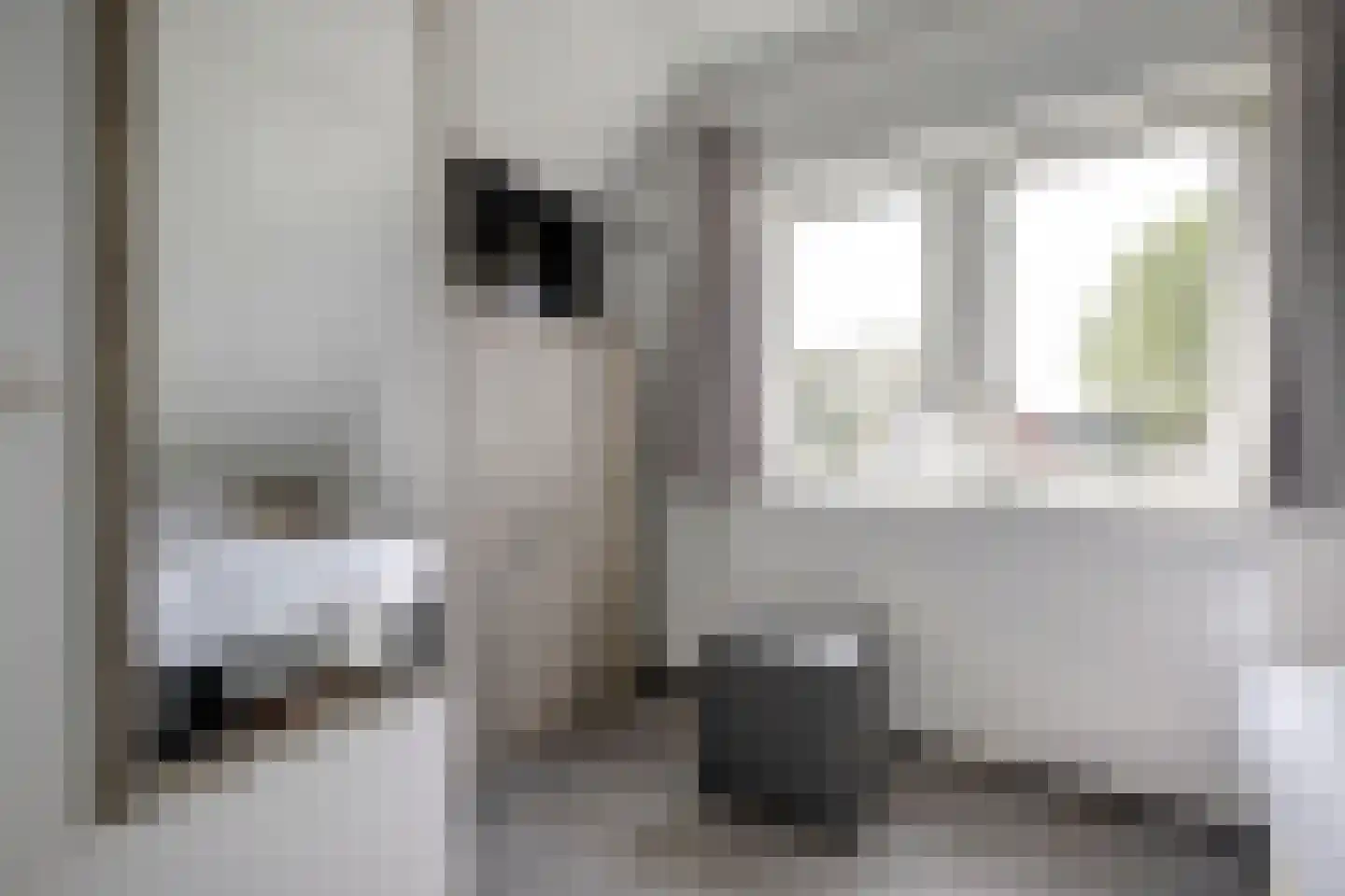Dorperheideweg 12 2034 Arcen thumbnail 19