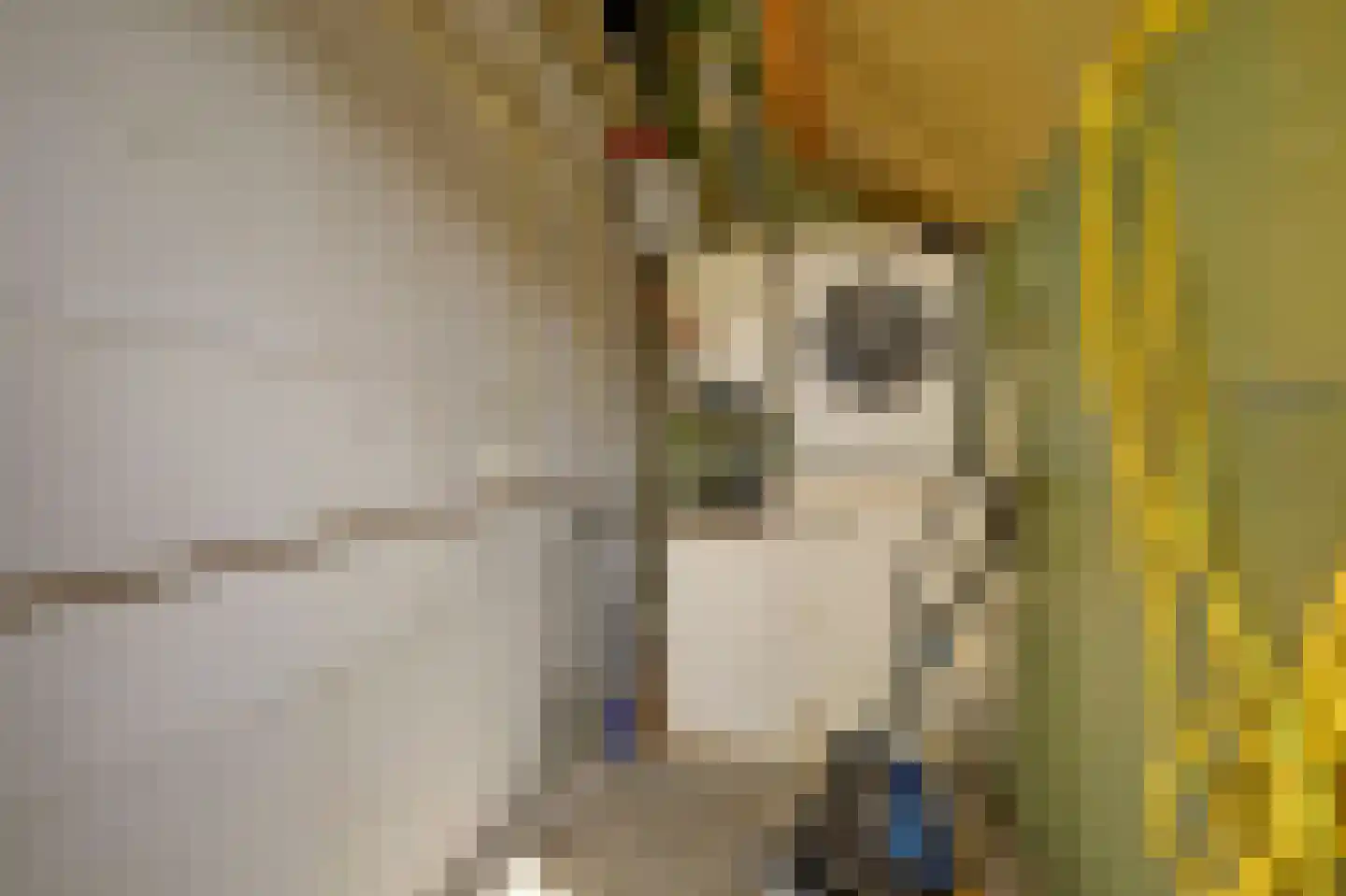 Dorperheideweg 12 2034 Arcen thumbnail 26