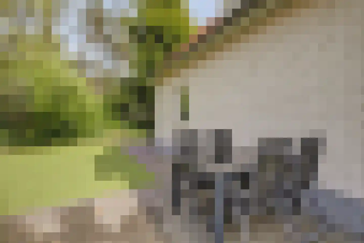 Dorperheideweg 12 2034 Arcen thumbnail 30