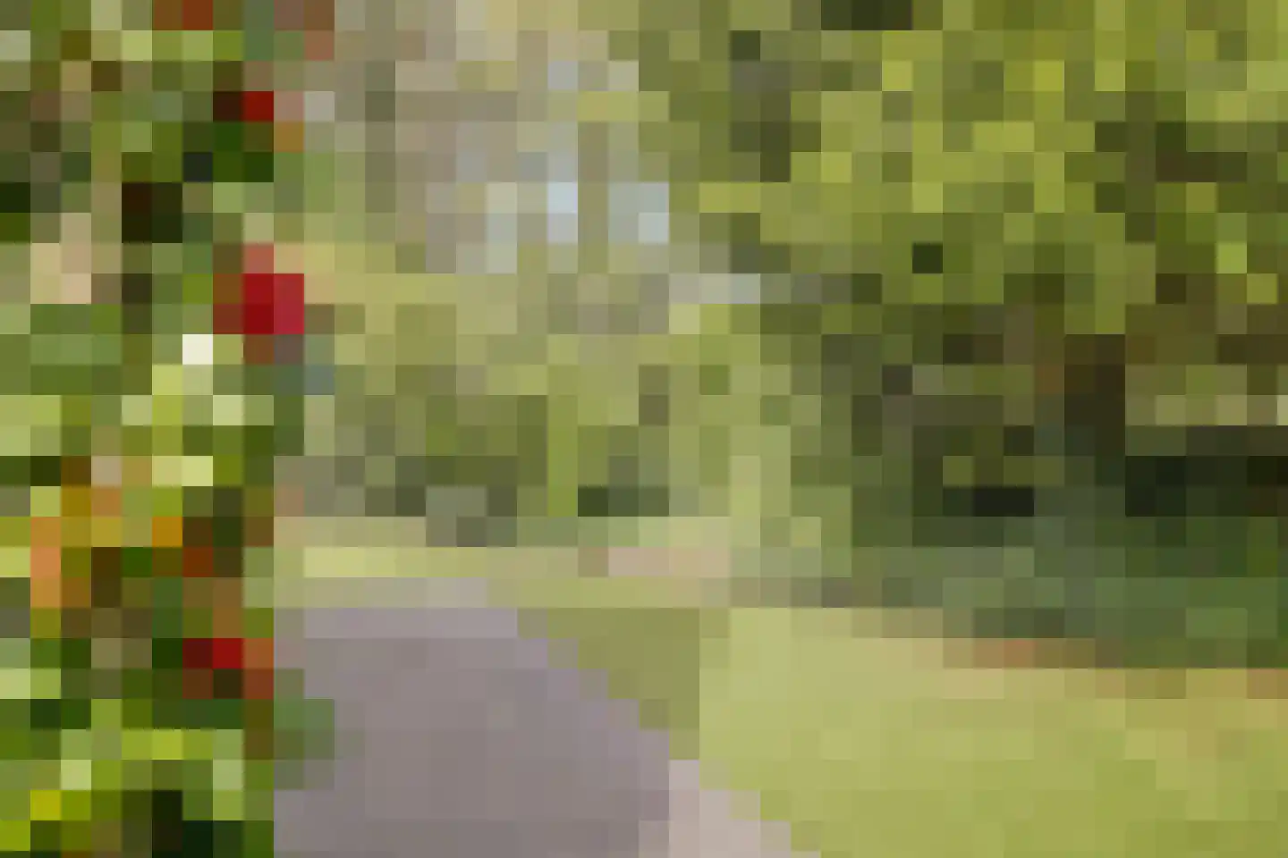 Dorperheideweg 12 2034 Arcen thumbnail 31
