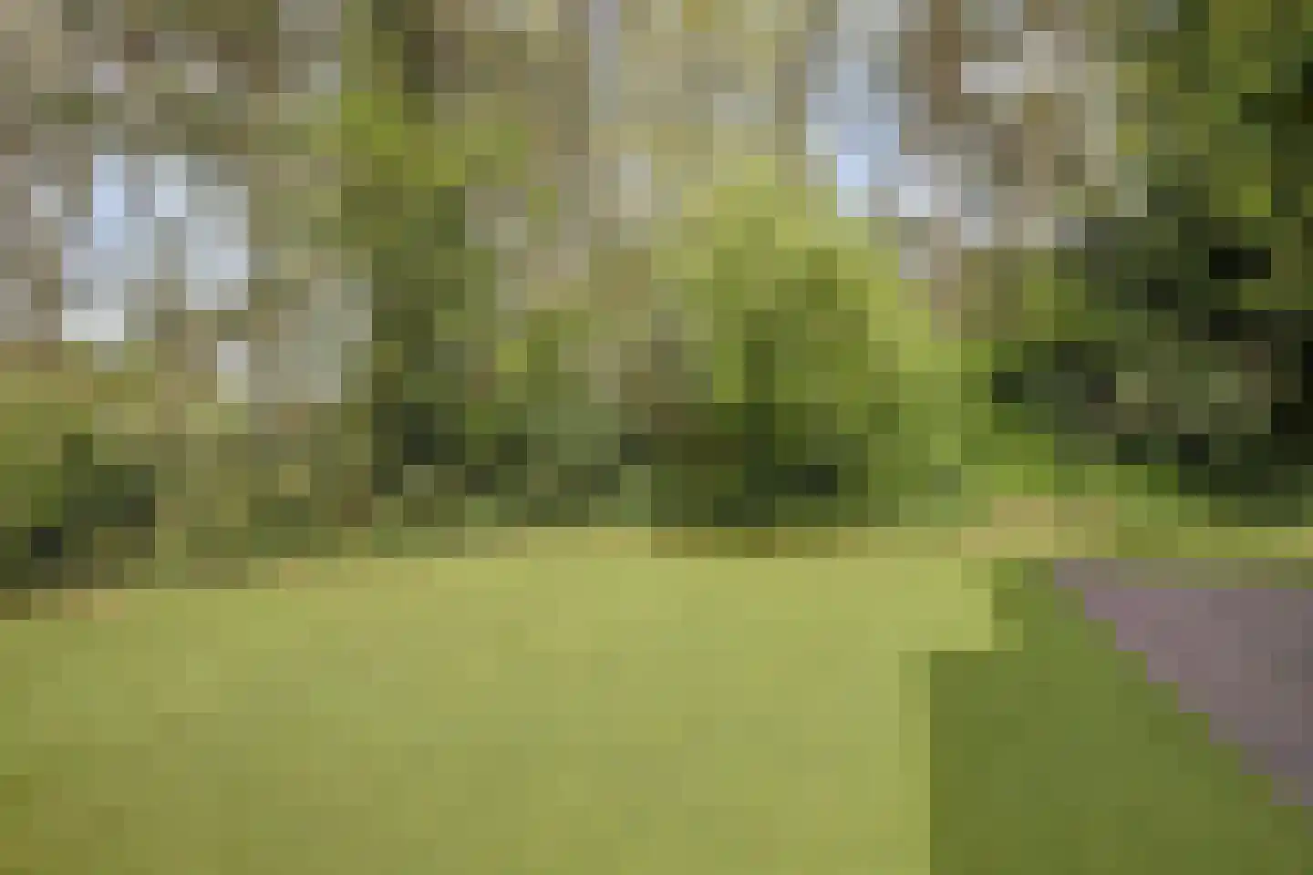 Dorperheideweg 12 2034 Arcen thumbnail 33