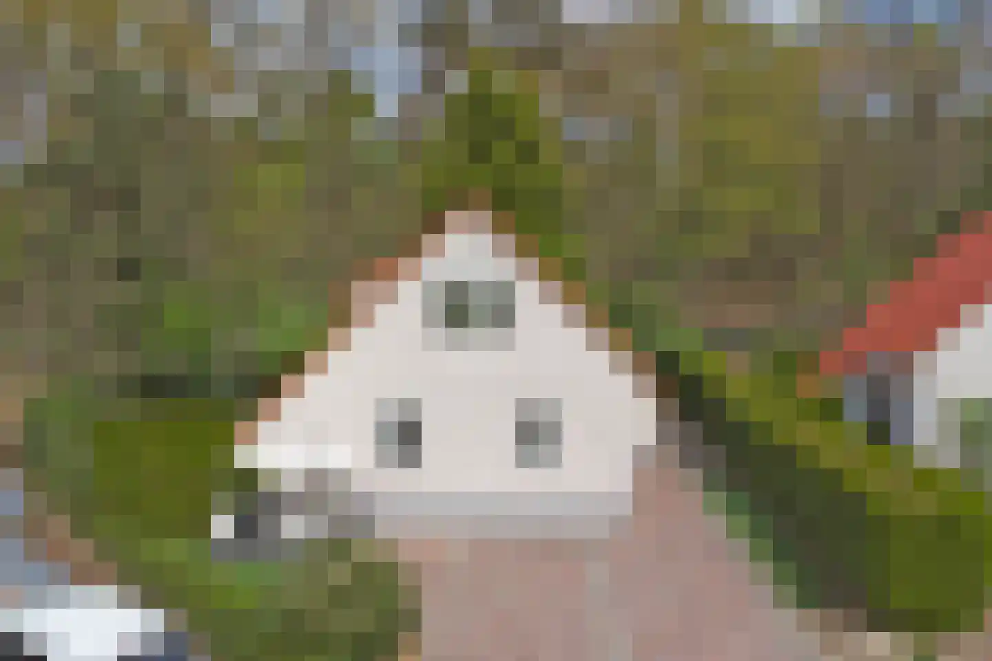 Dorperheideweg 12 2034 Arcen thumbnail 37