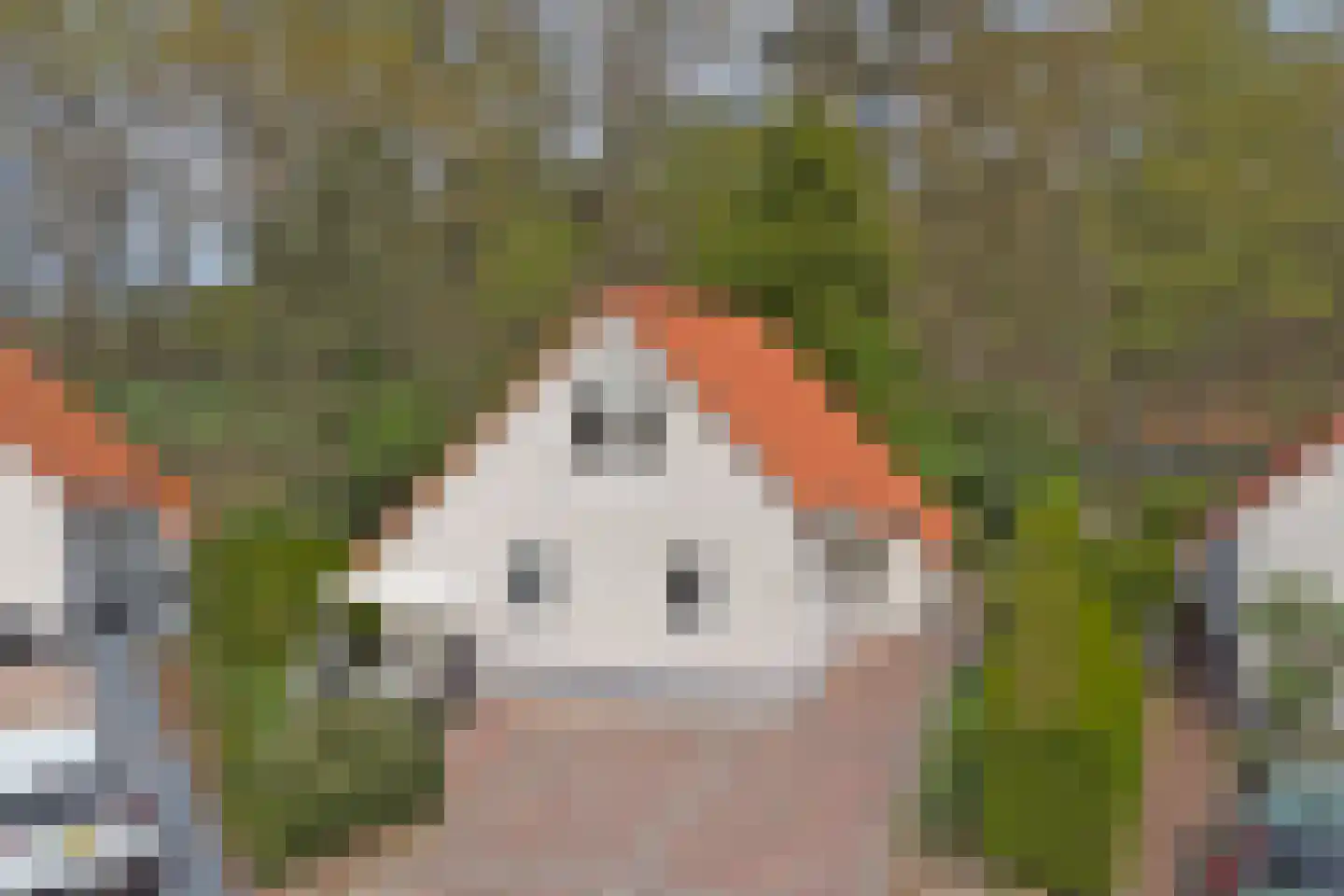 Dorperheideweg 12 2034 Arcen thumbnail 38