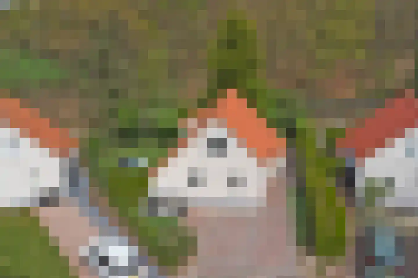 Dorperheideweg 12 2034 Arcen thumbnail 39