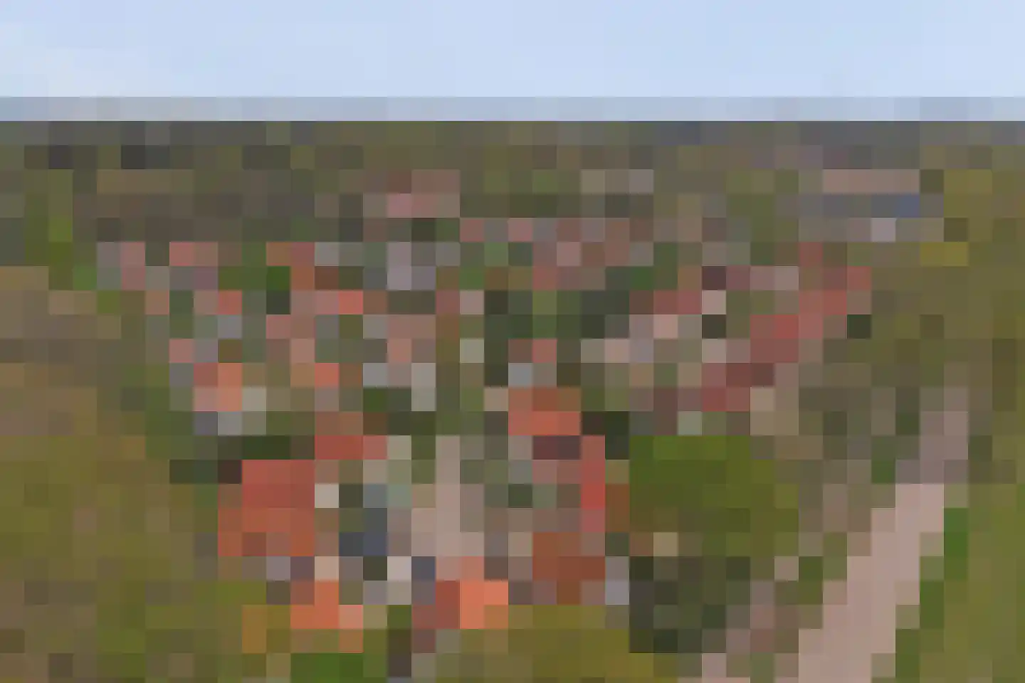 Dorperheideweg 12 2034 Arcen thumbnail 42