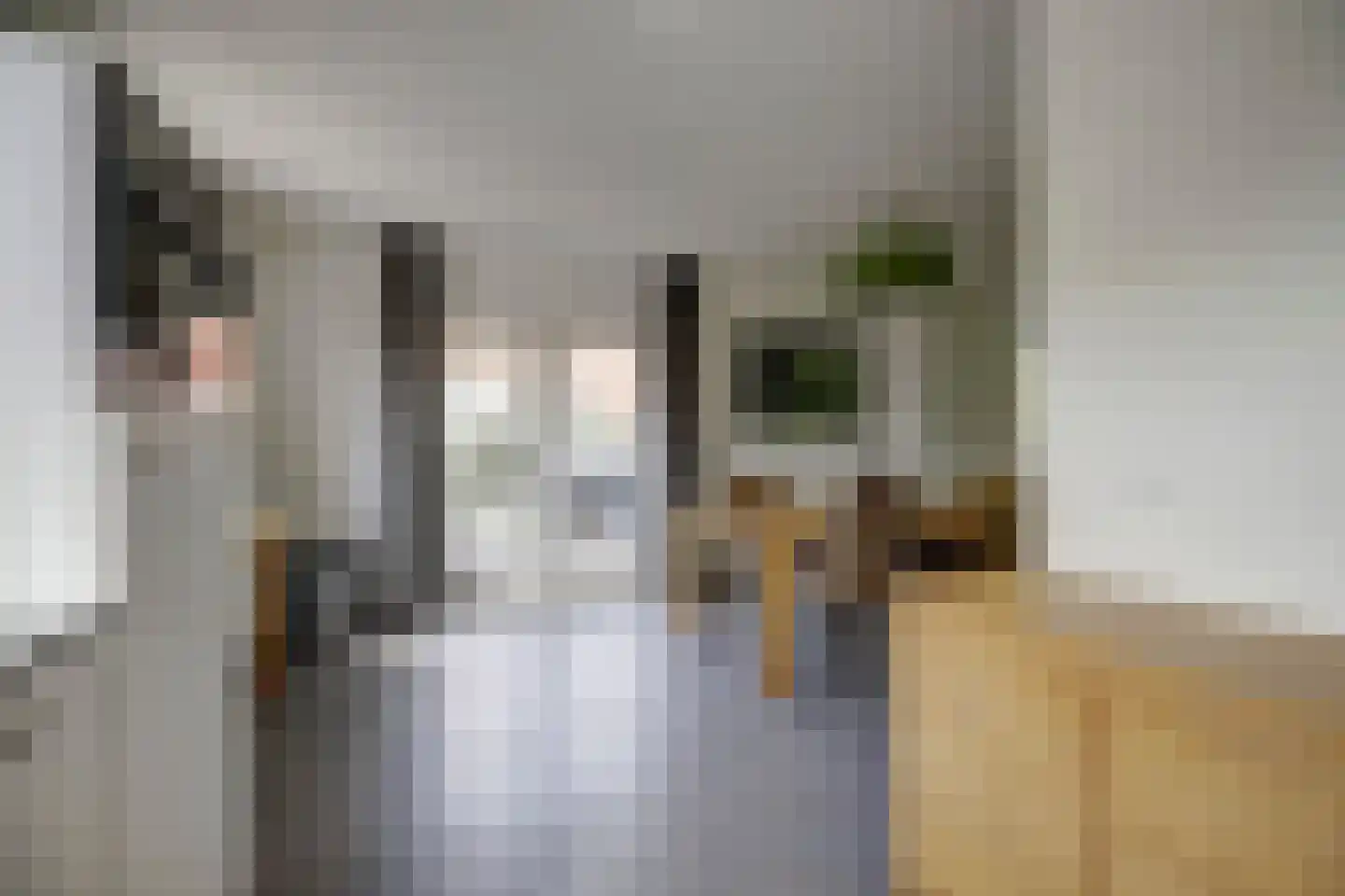 Dorperheideweg 12 2034 Arcen thumbnail 8