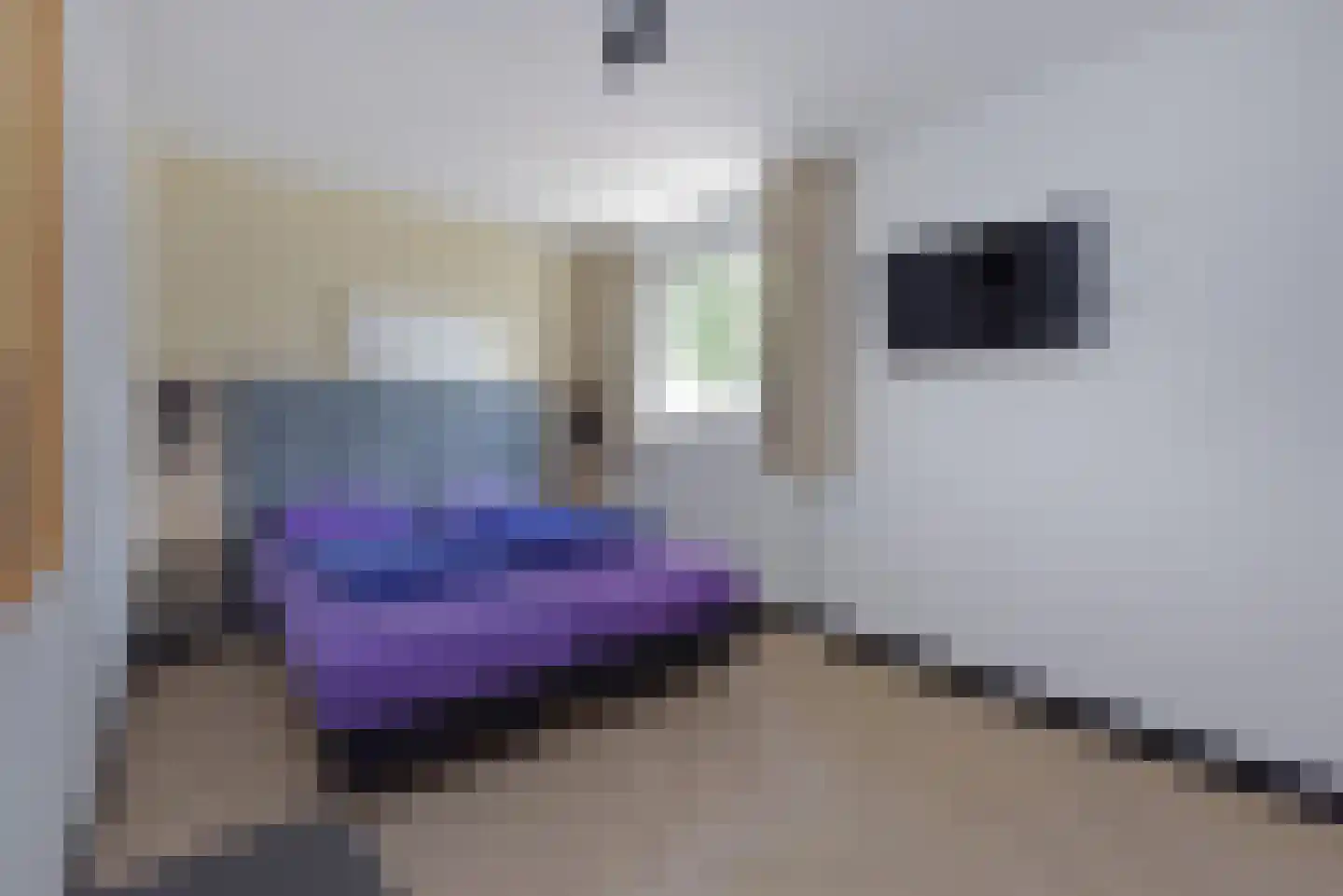 Dorperheideweg 12 2352 Arcen thumbnail 13