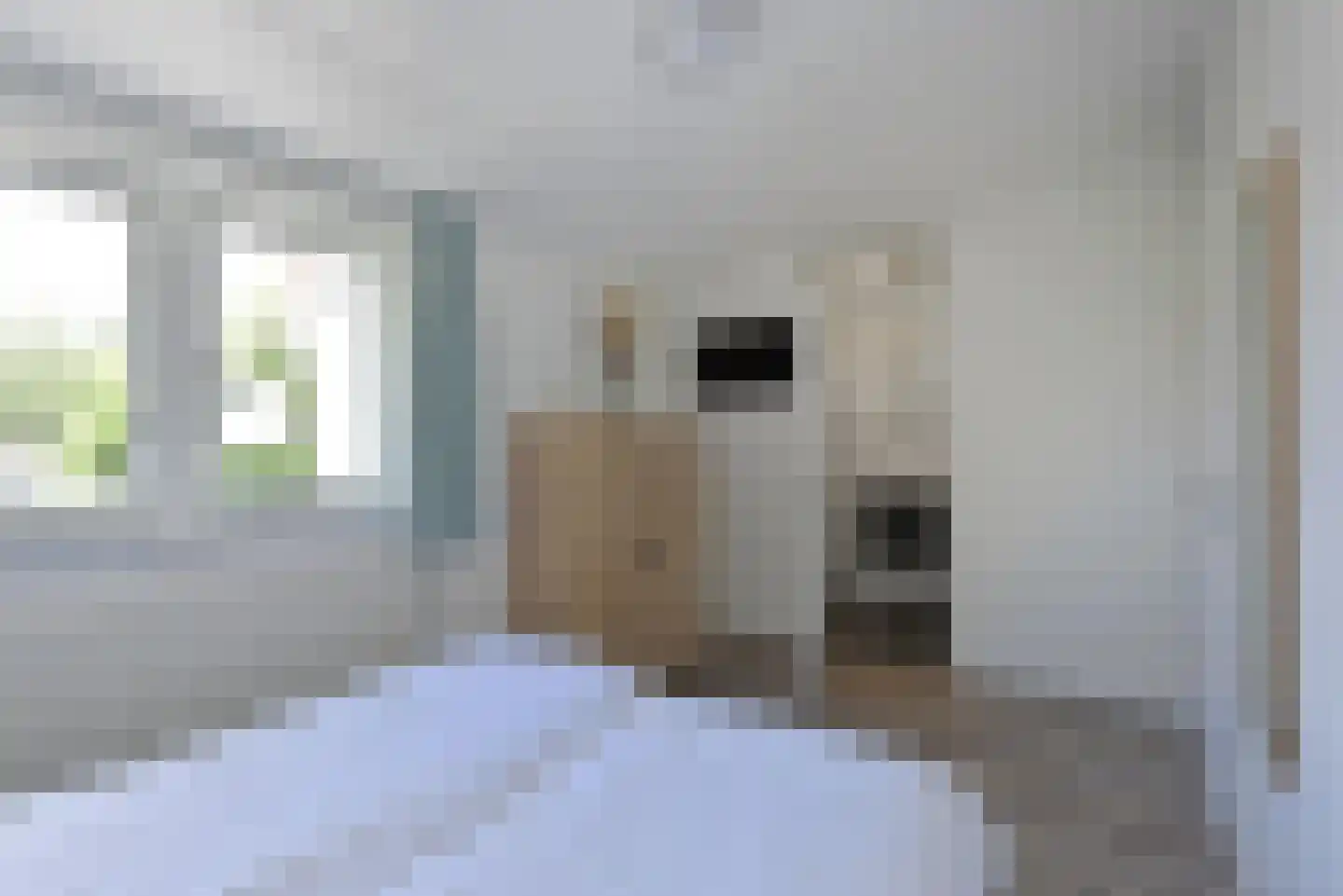 Dorperheideweg 12 2352 Arcen thumbnail 15