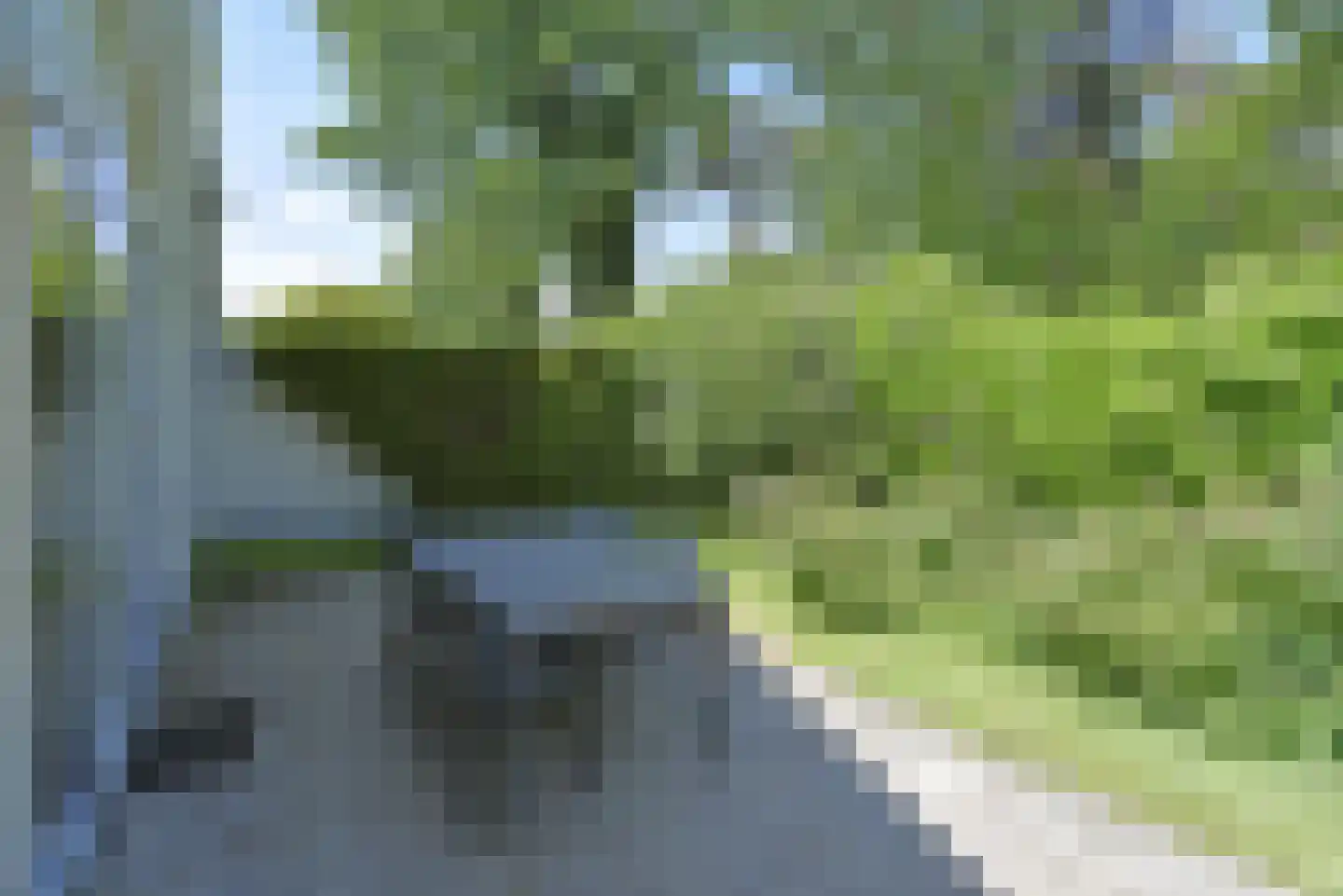 Dorperheideweg 12 2352 Arcen thumbnail 27