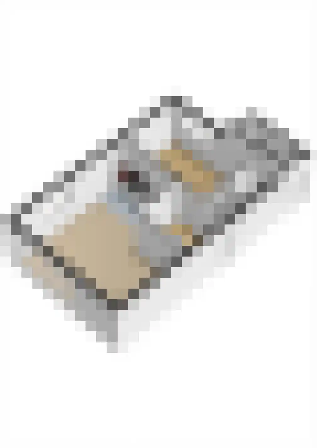 Dorperheideweg 12 2352 Arcen thumbnail 29