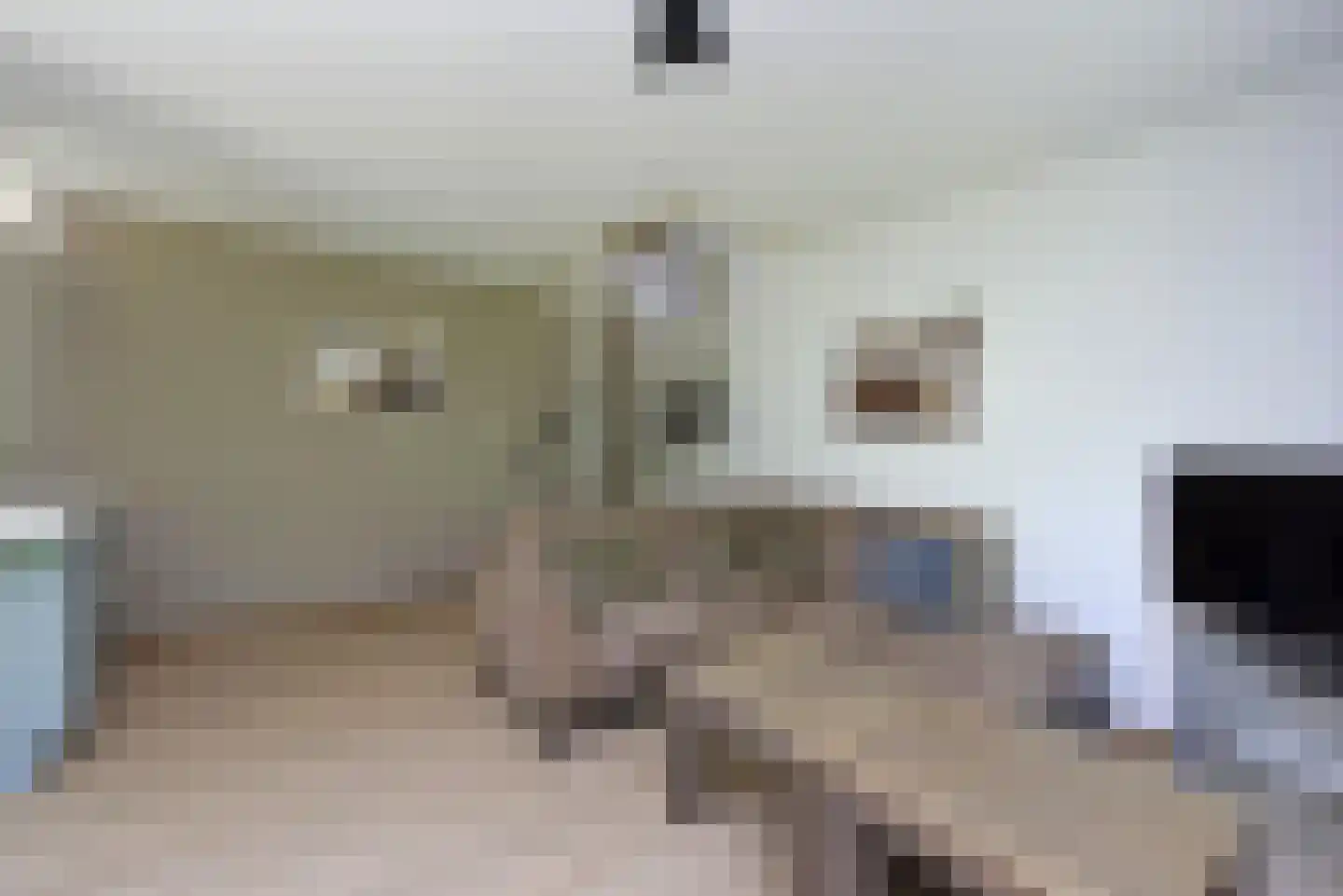 Dorperheideweg 12 2352 Arcen thumbnail 6