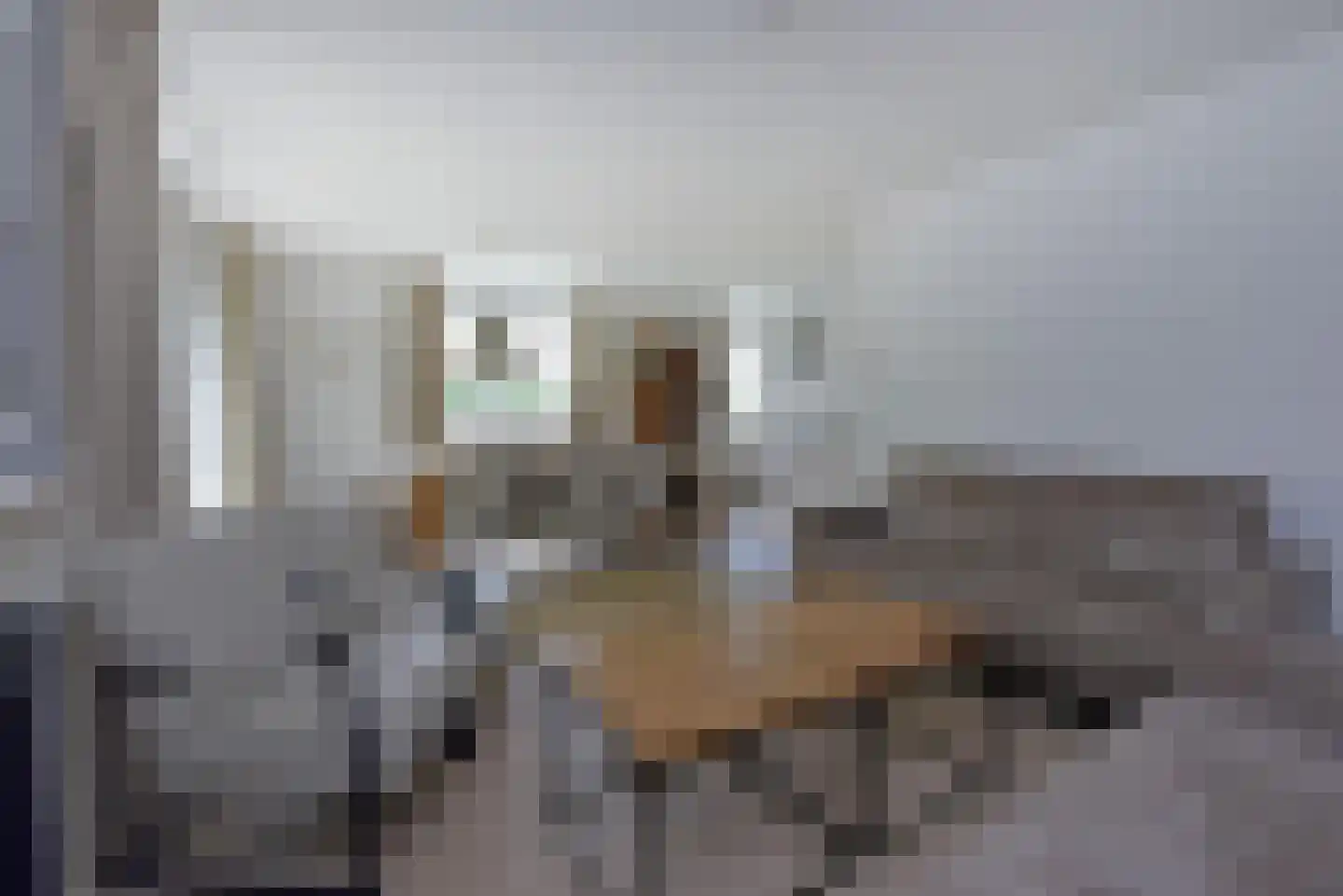 Dorperheideweg 12 2352 Arcen thumbnail 7