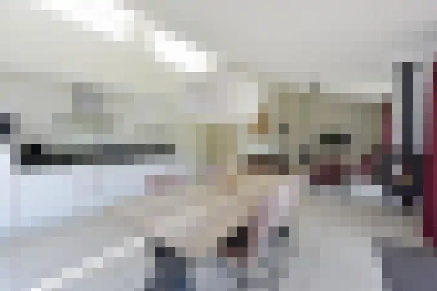 Dorperheideweg 12 273 Arcen thumbnail 12