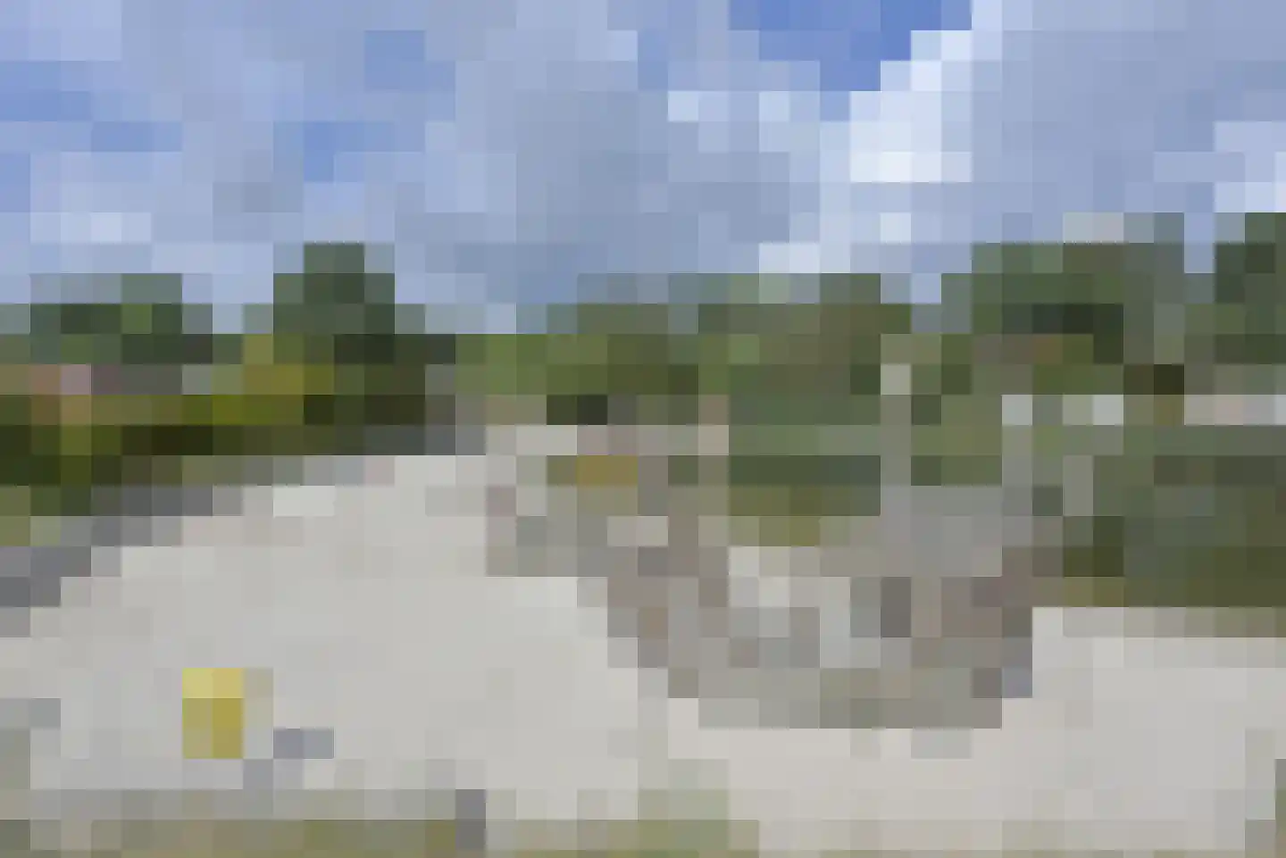 Dorperheideweg 12 283 Arcen thumbnail 25
