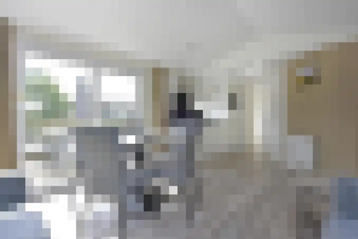Dorperheideweg 12 283 Arcen thumbnail 7