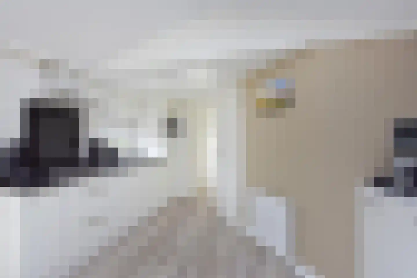 Dorperheideweg 12 283 Arcen thumbnail 9