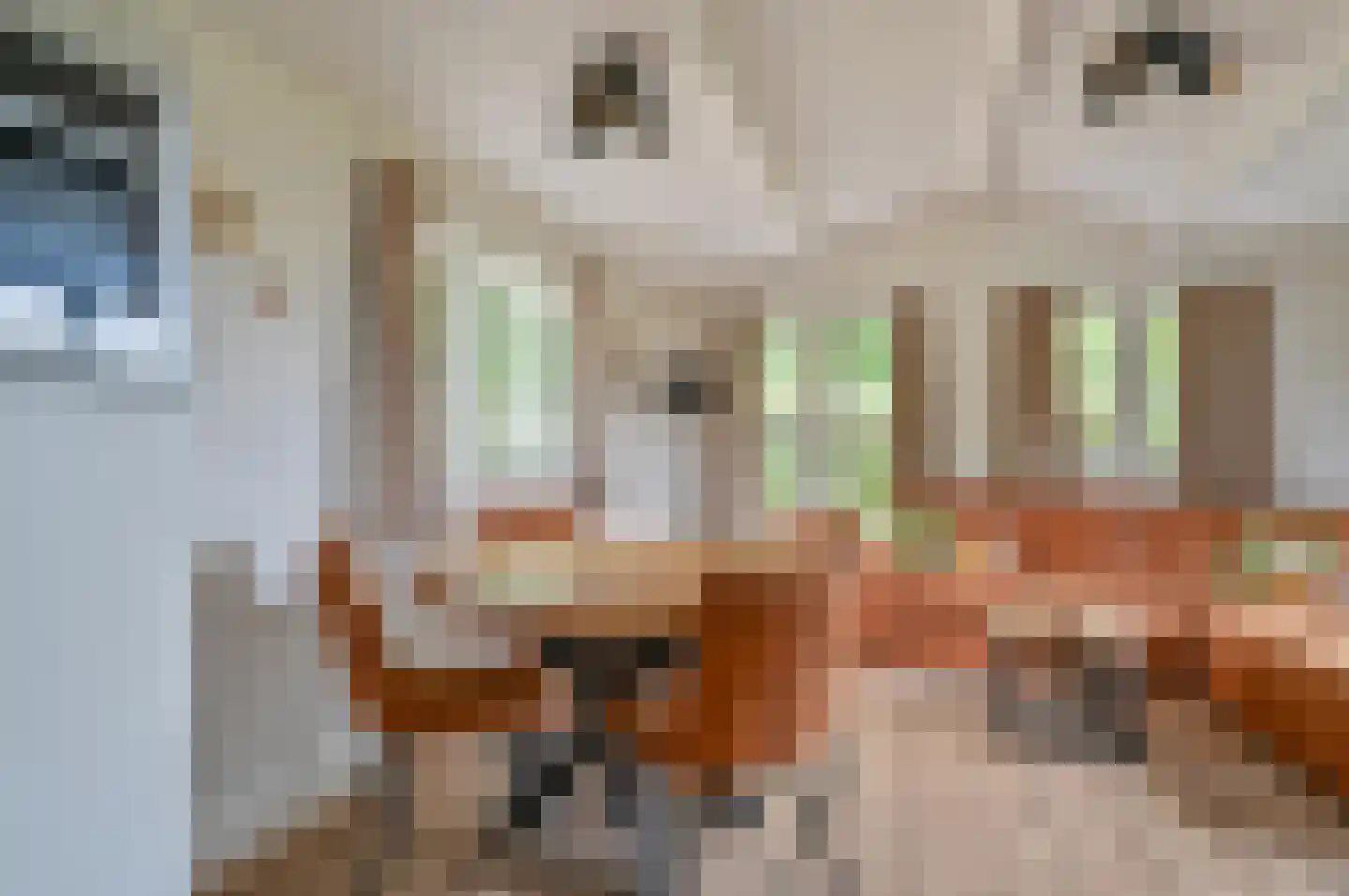 Dorperheideweg 12 318 Arcen thumbnail 10