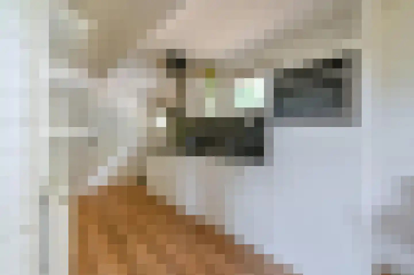 Dorperheideweg 12 318 Arcen thumbnail 11