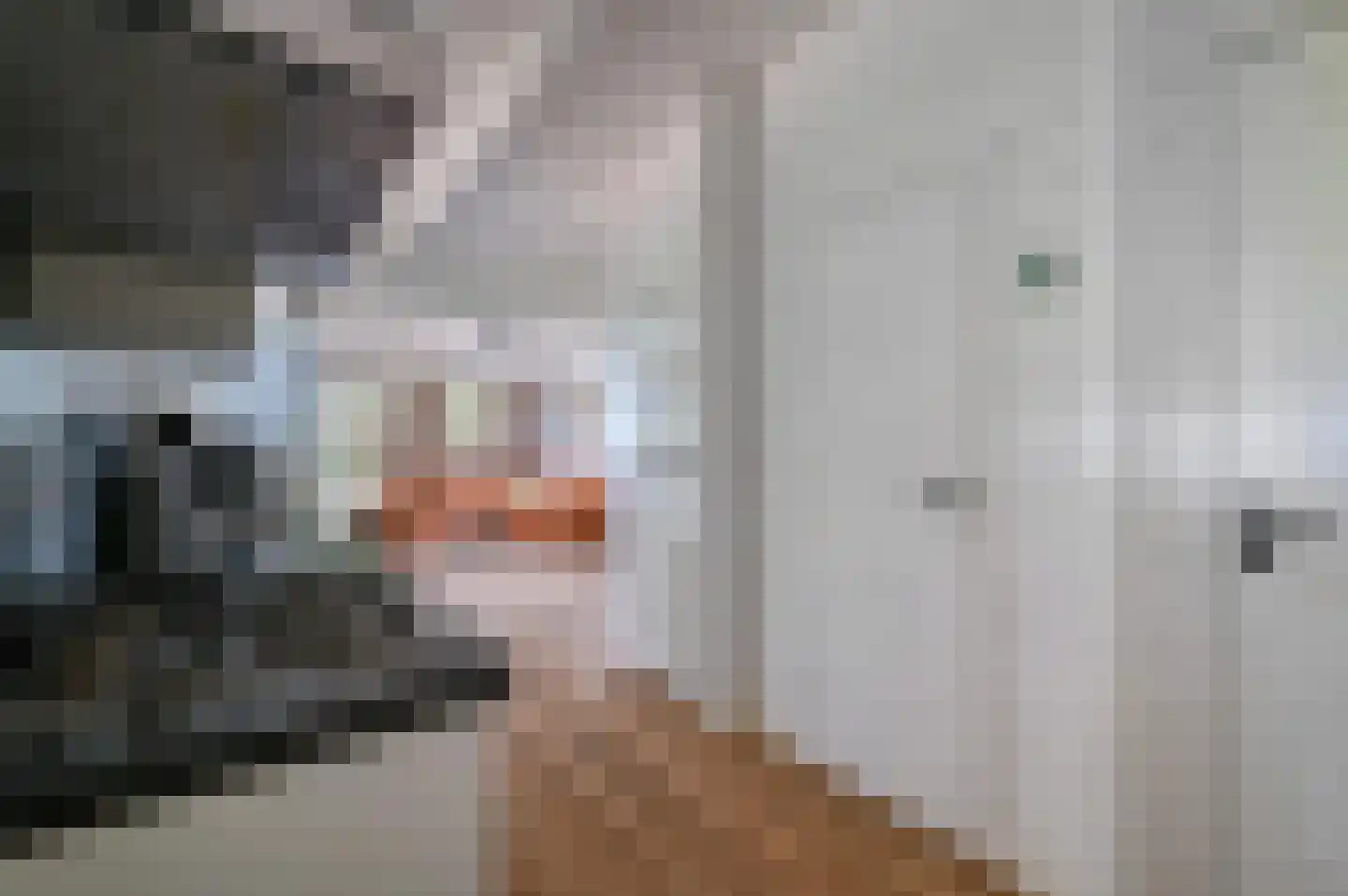 Dorperheideweg 12 318 Arcen thumbnail 13