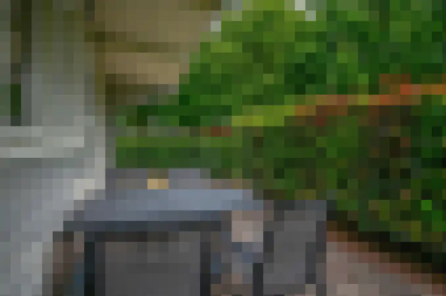 Dorperheideweg 12 318 Arcen thumbnail 19