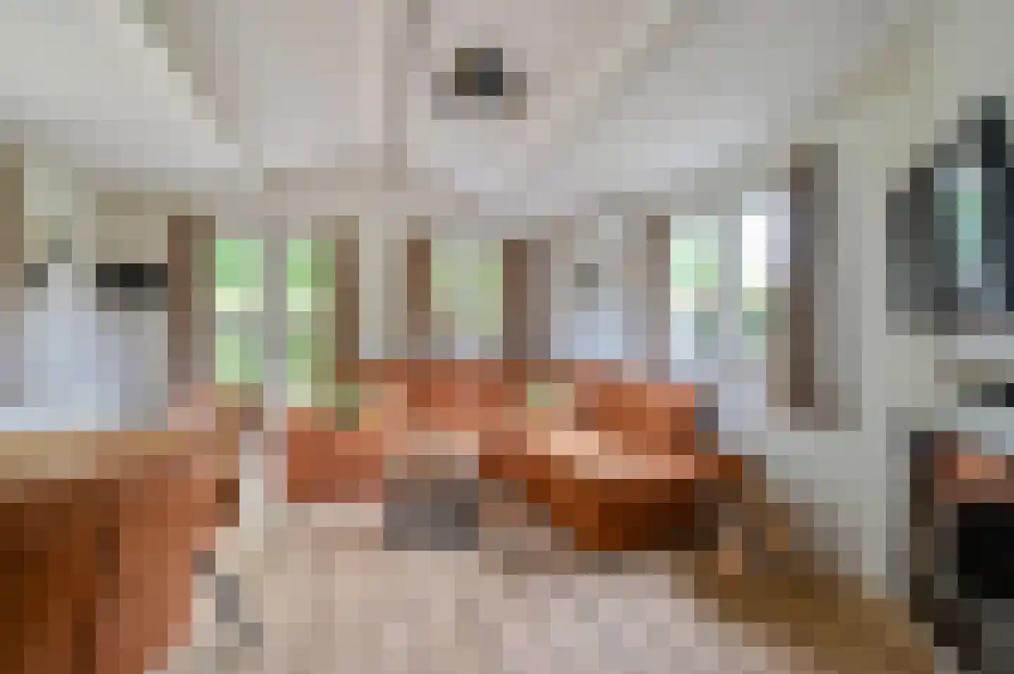 Dorperheideweg 12 318 Arcen thumbnail 5