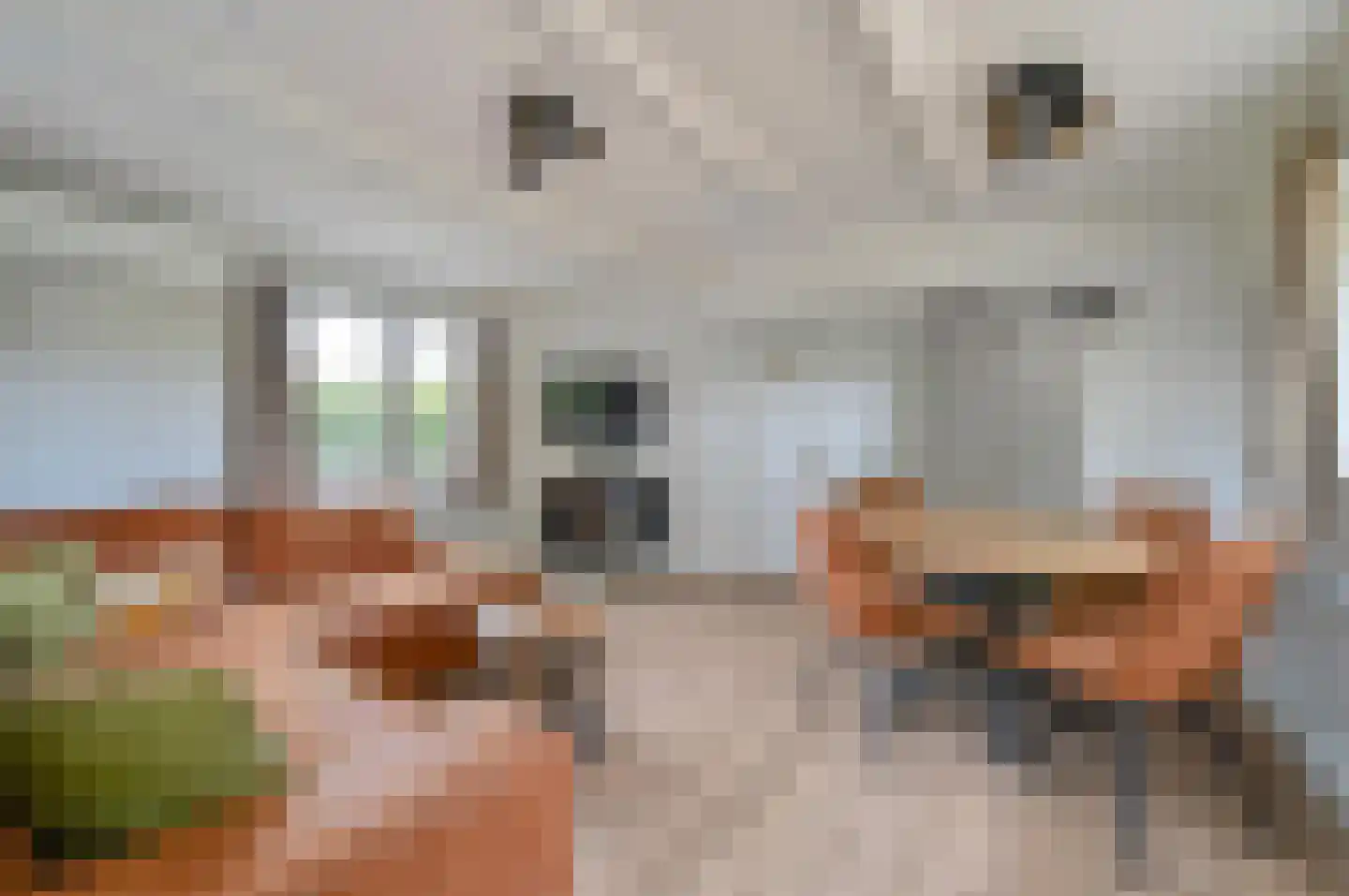 Dorperheideweg 12 318 Arcen thumbnail 8