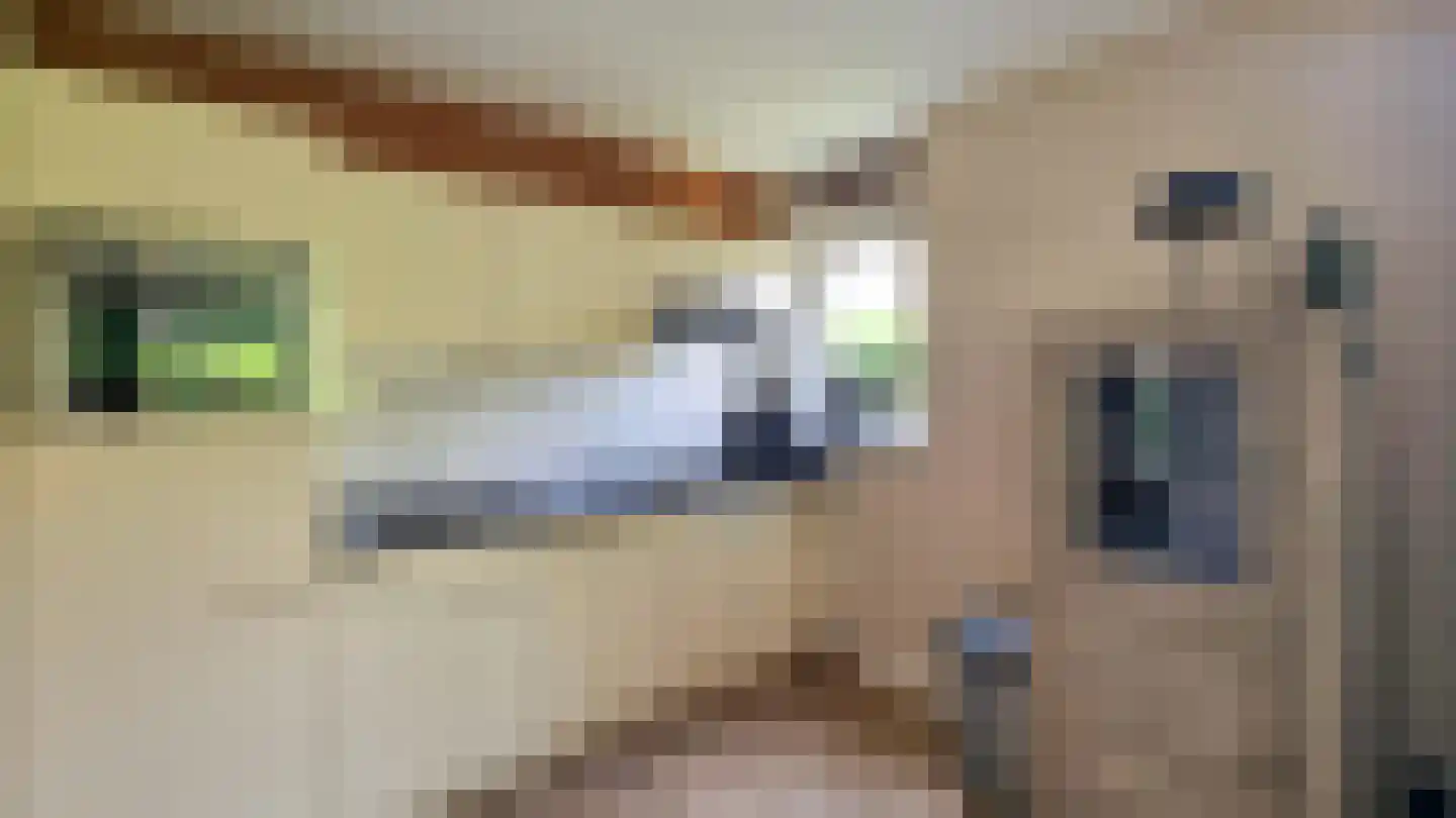 Dorperheideweg 12 49 Arcen thumbnail 10