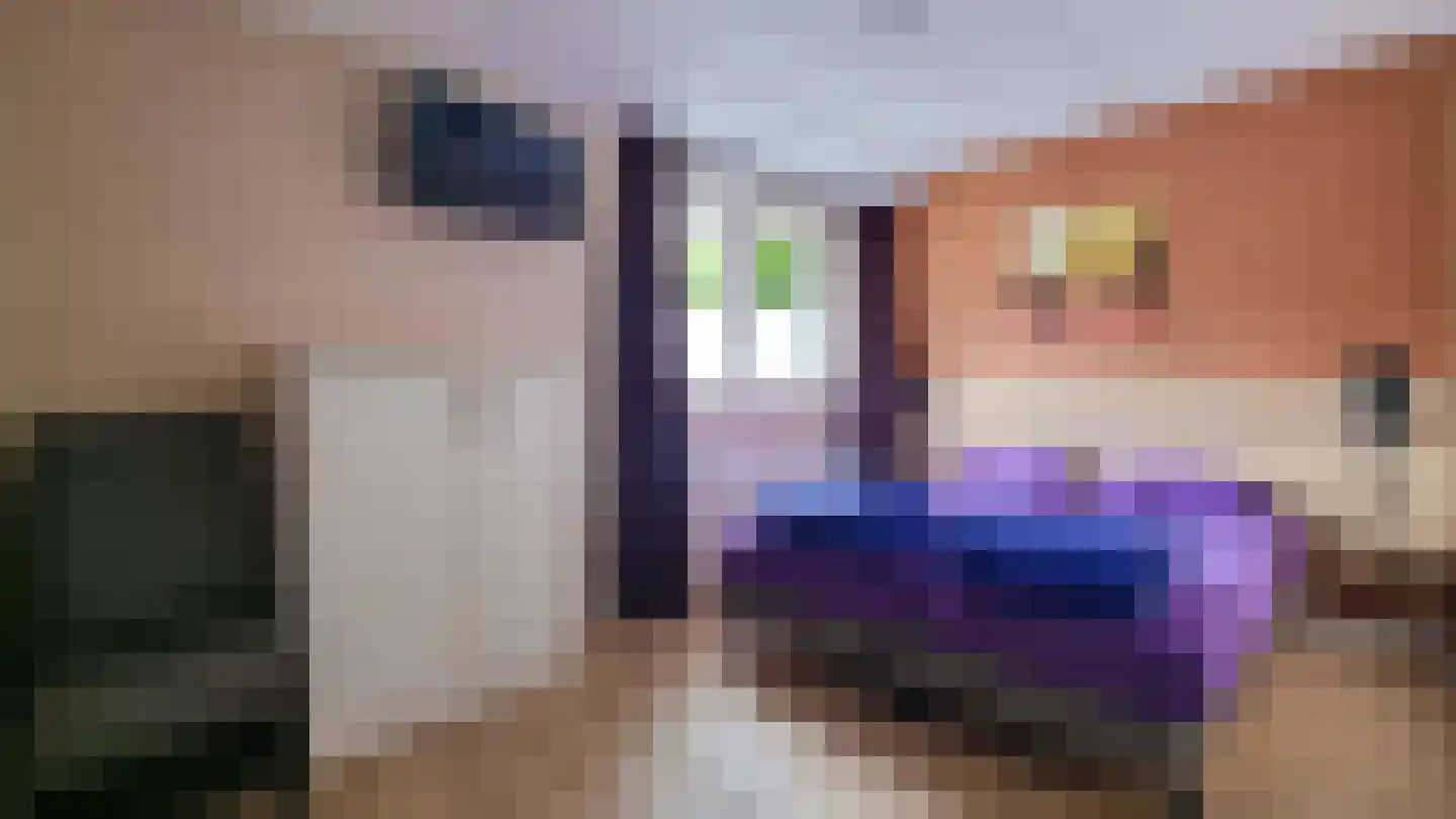 Dorperheideweg 12 49 Arcen thumbnail 11