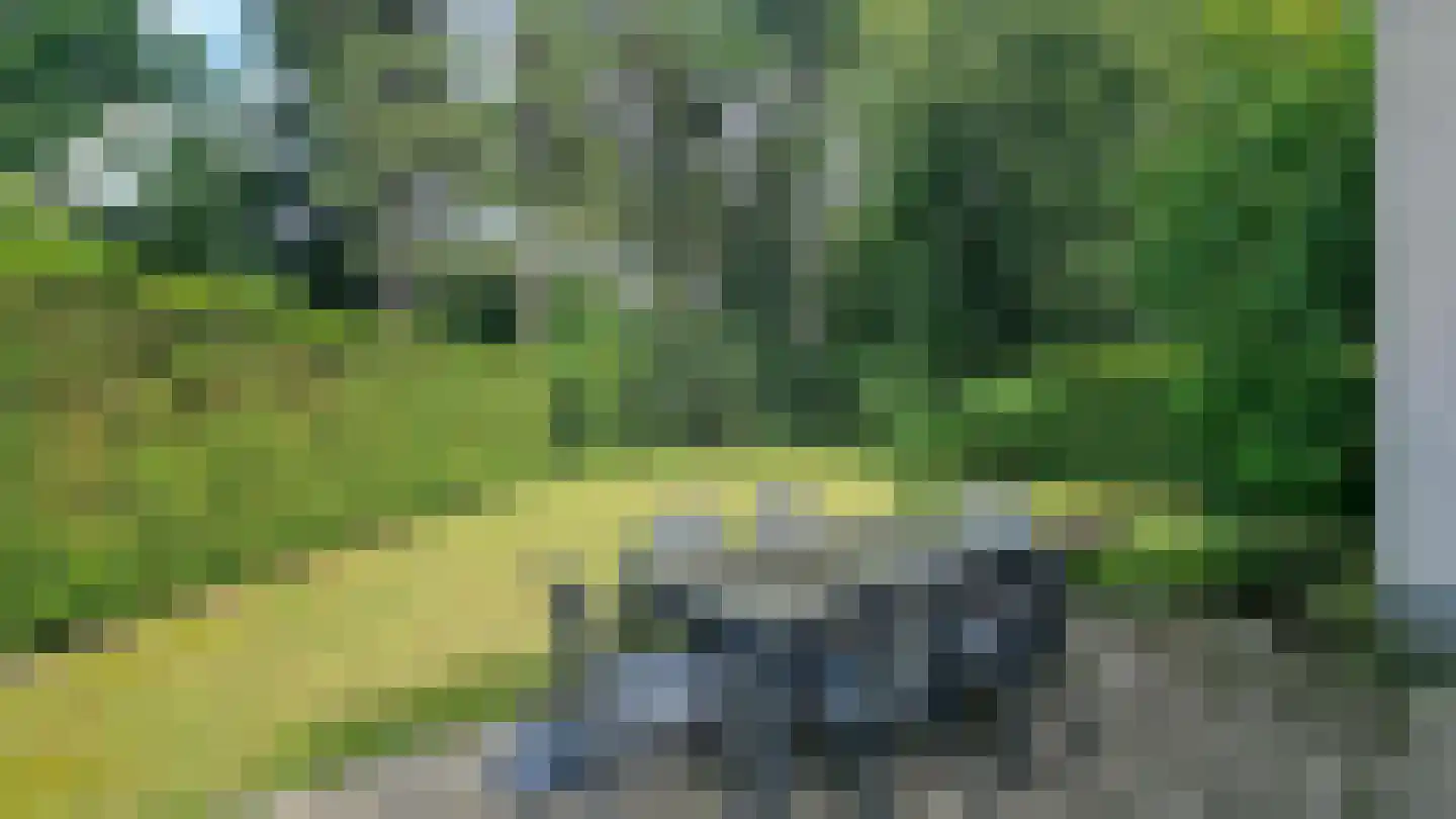 Dorperheideweg 12 49 Arcen thumbnail 32