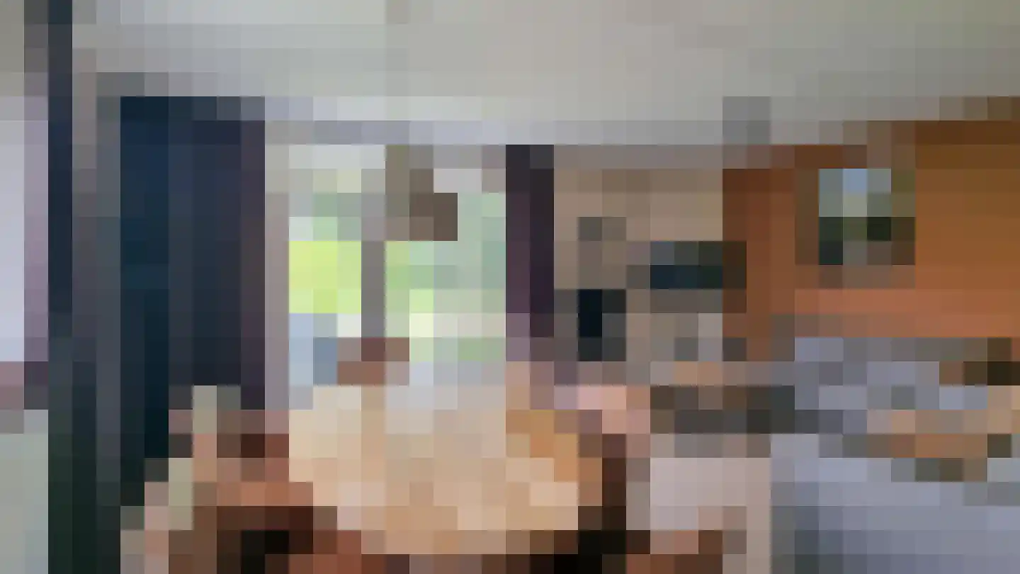 Dorperheideweg 12 49 Arcen thumbnail 6