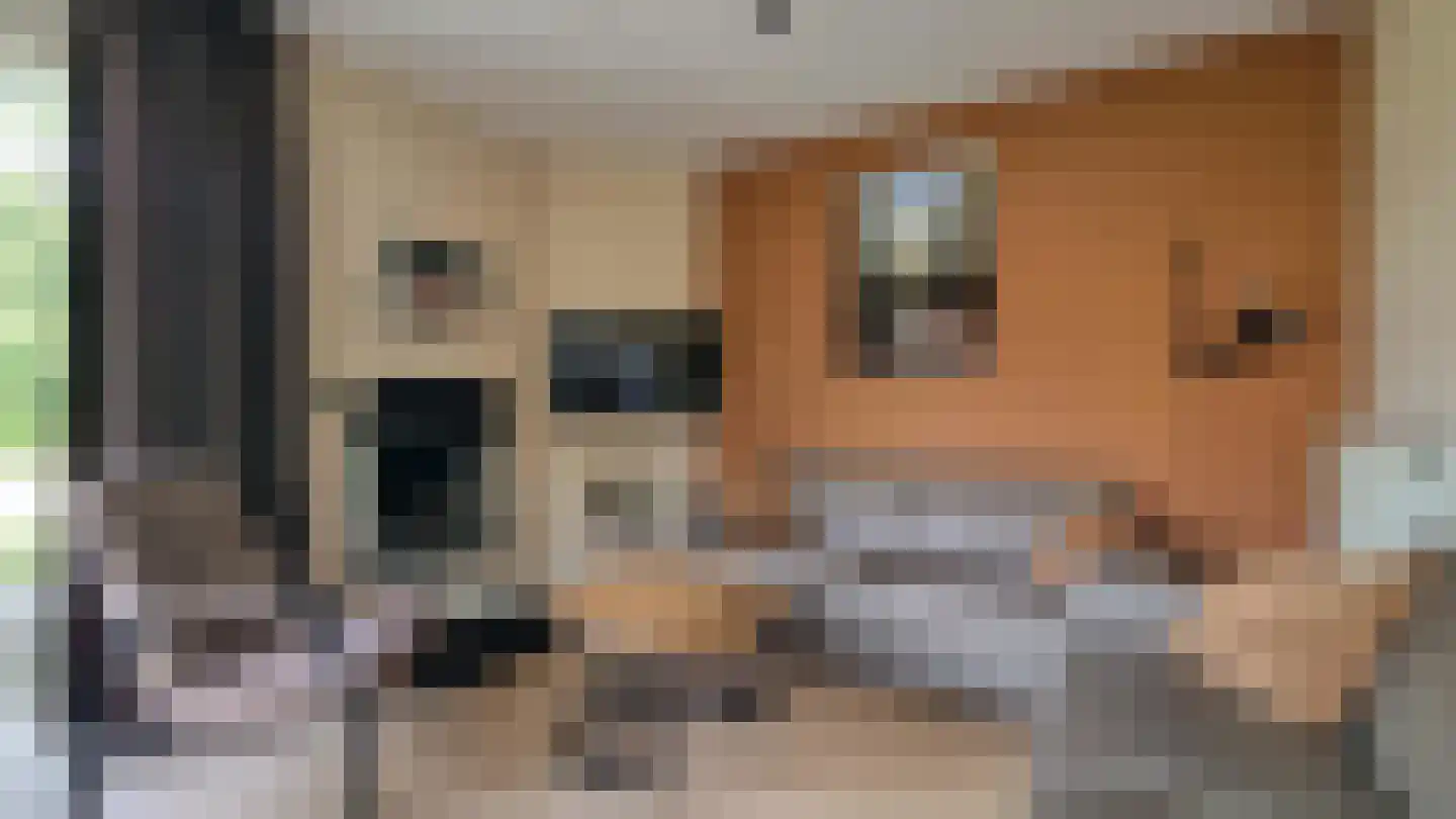 Dorperheideweg 12 49 Arcen thumbnail 8