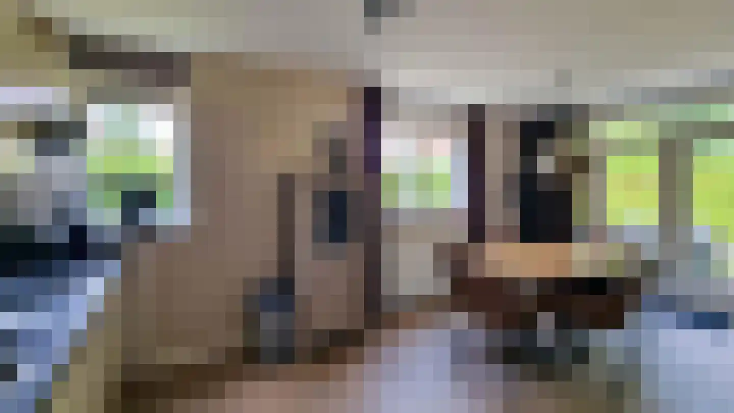 Dorperheideweg 12 49 Arcen thumbnail 9