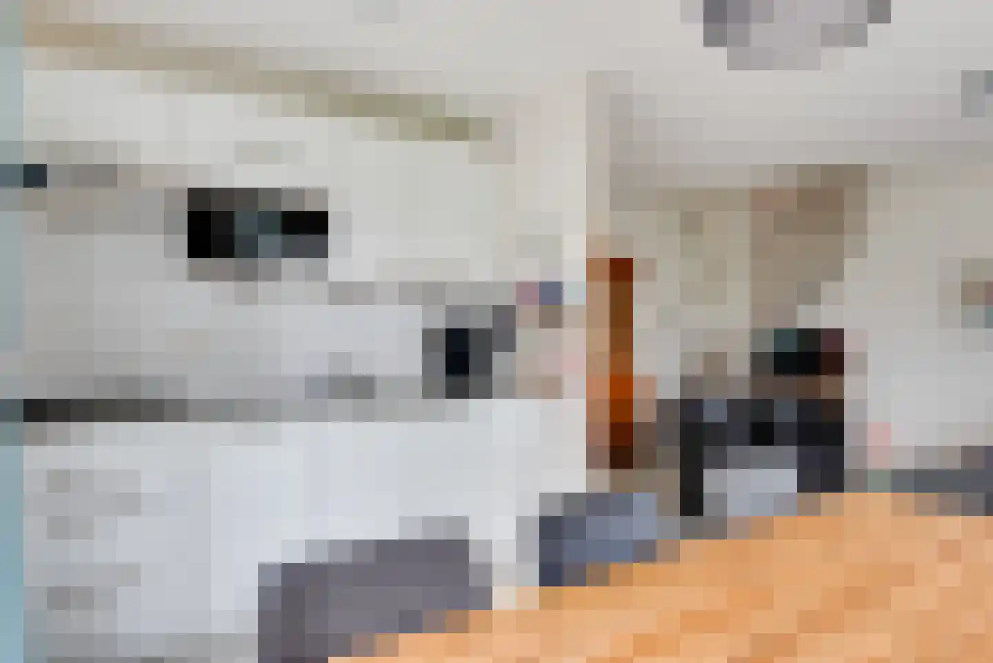 Dorperheideweg 12 Arcen thumbnail 16