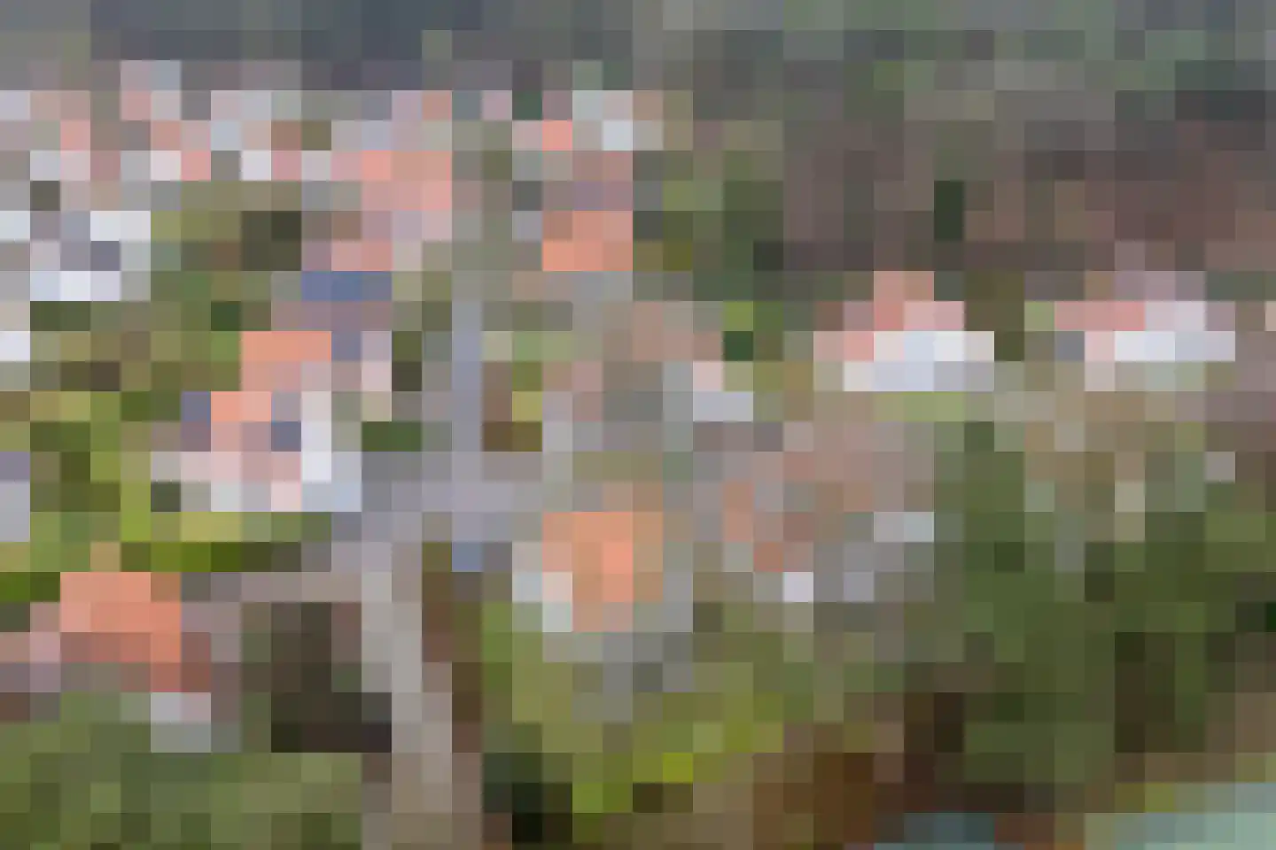 Dorperheideweg 12 Arcen thumbnail 44