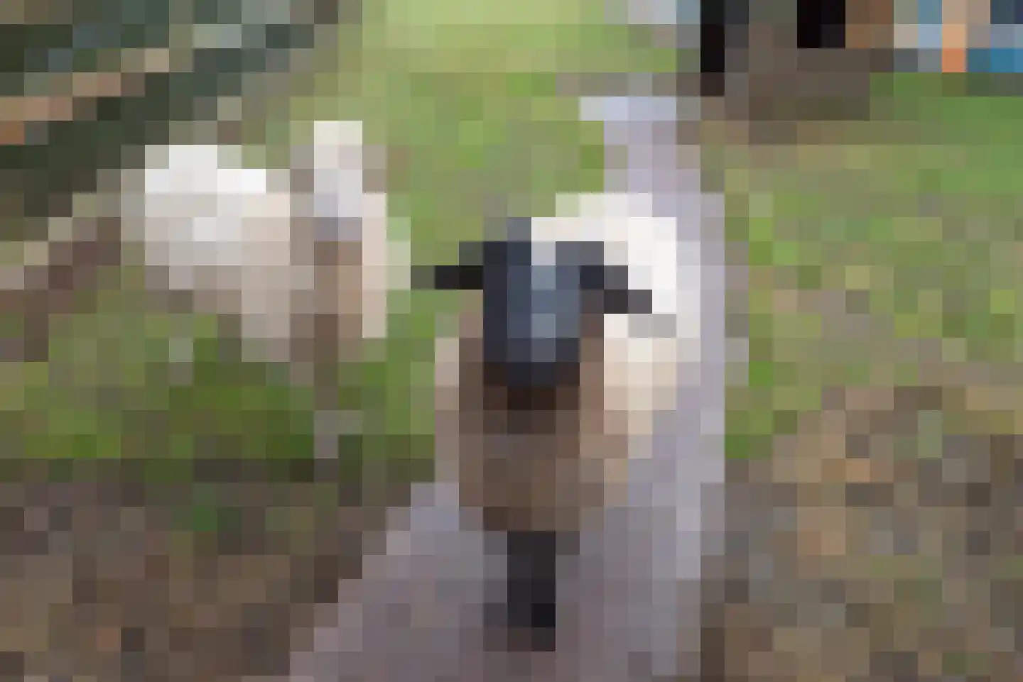 Dorperheideweg 12 Arcen thumbnail 49