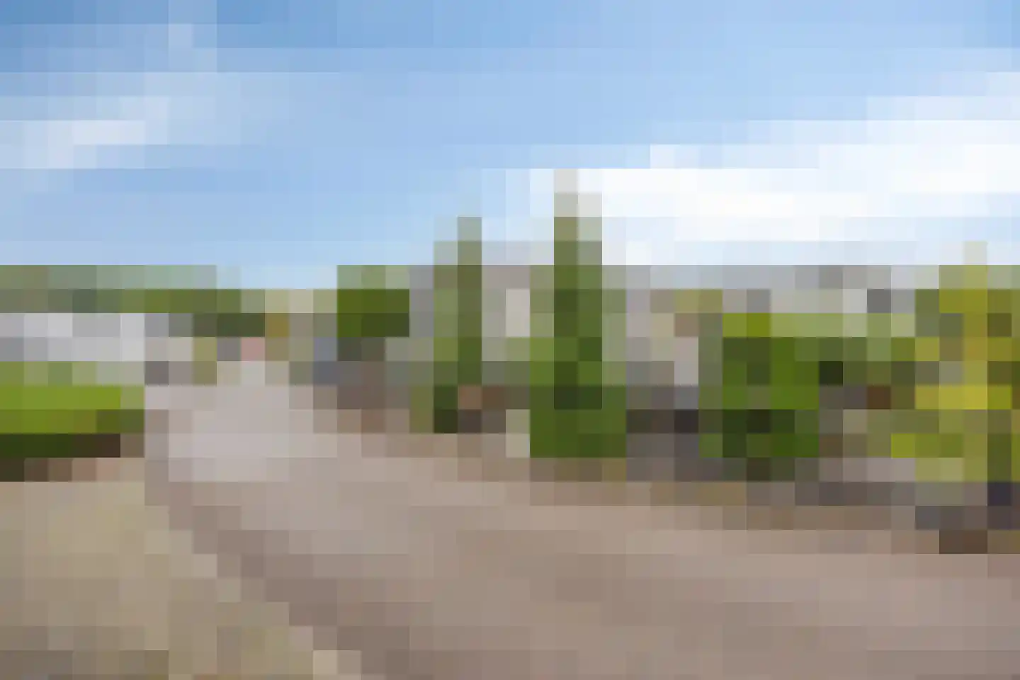 Dorperheideweg 34 2008 Arcen thumbnail 4